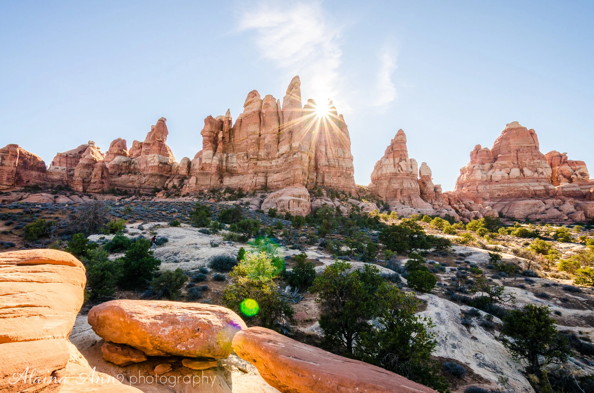 The Needles District in Canyonlands