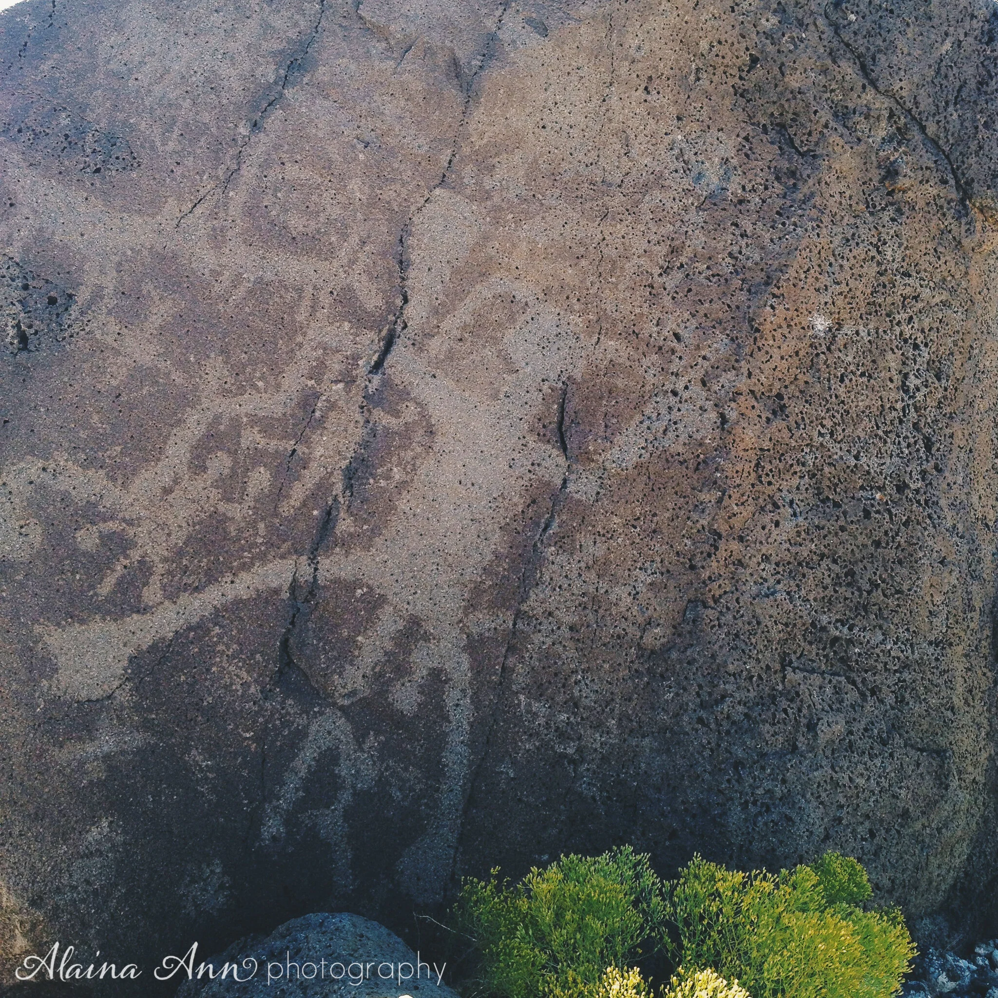 Petroglyph National Monument