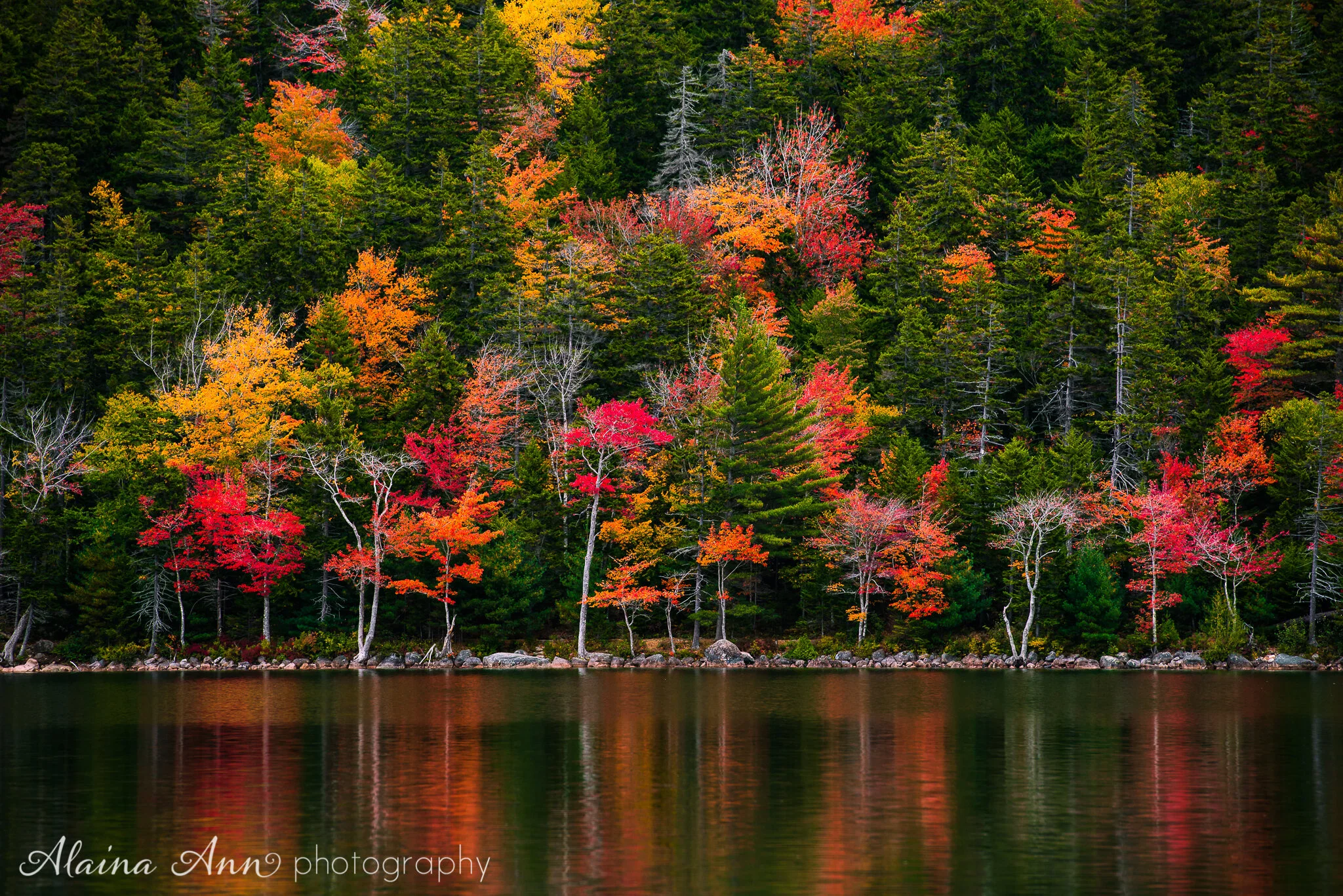 Acadia Peak Colors