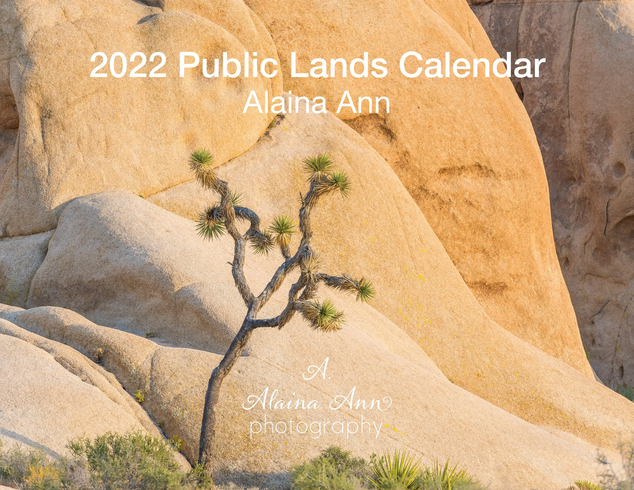 2022 Calendar