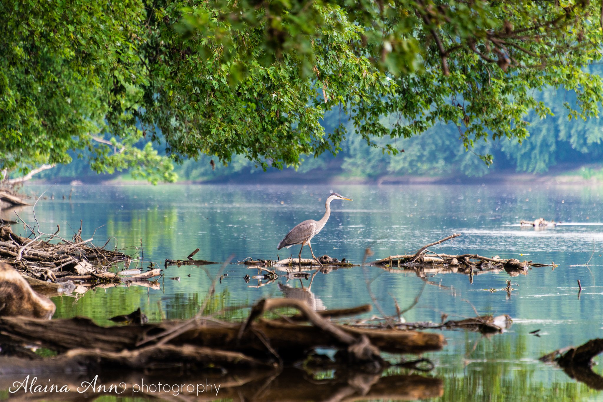 Potomac River-7574.jpg