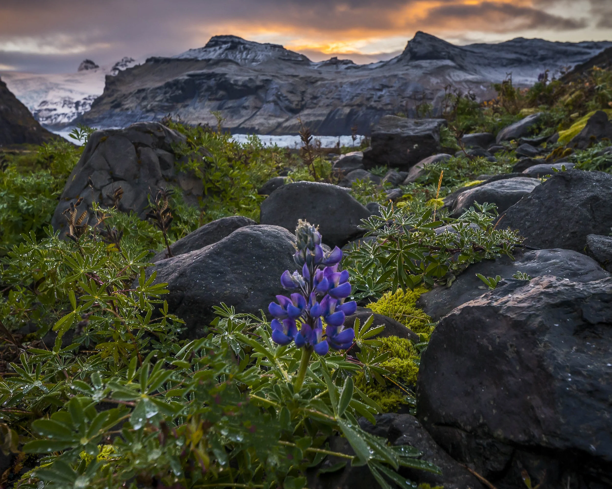 DSC_5866-Edit.jpg