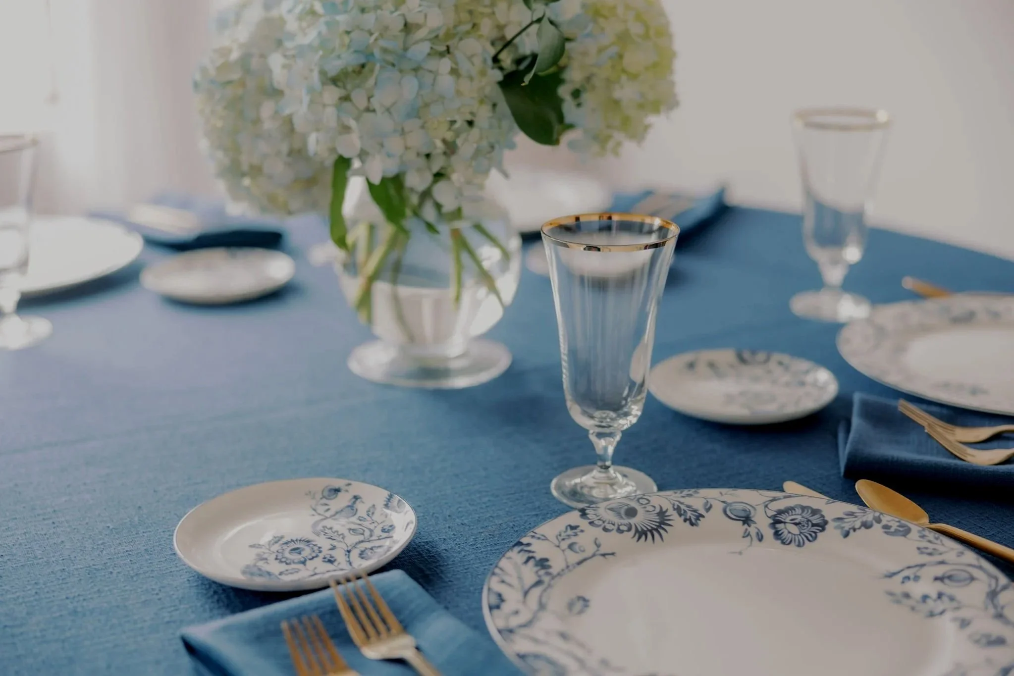 #themalicotes-521 (1).jpg