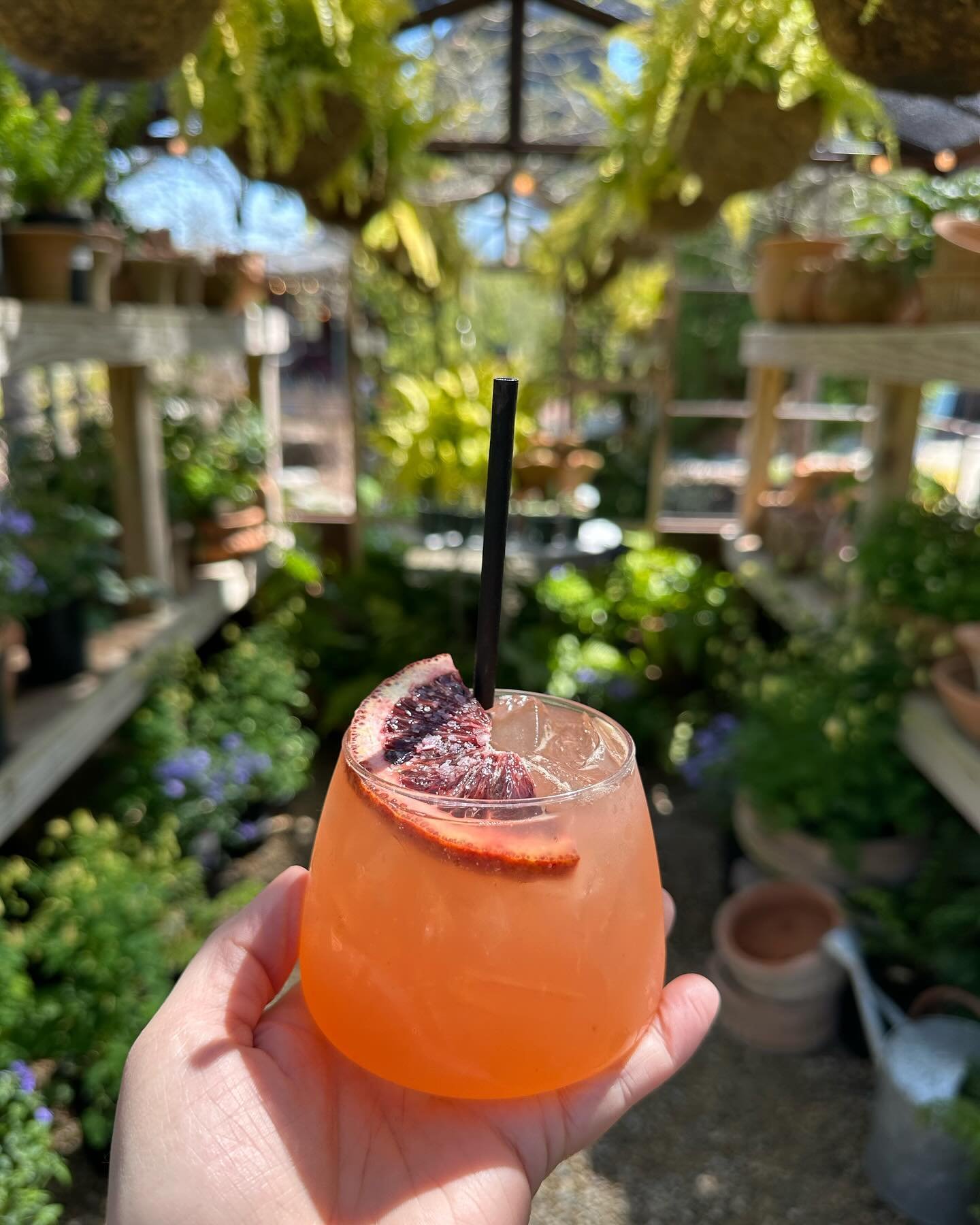 Need the perfect cocktail for the perfect Spring day?🍹 Try our Blood Orange Margarita, with ingredients including fresh cold pressed blood orange juice, silver tequila, and garnished with a sprinkle of flaky sea salt. CHEERS to that!

Our bar is ope