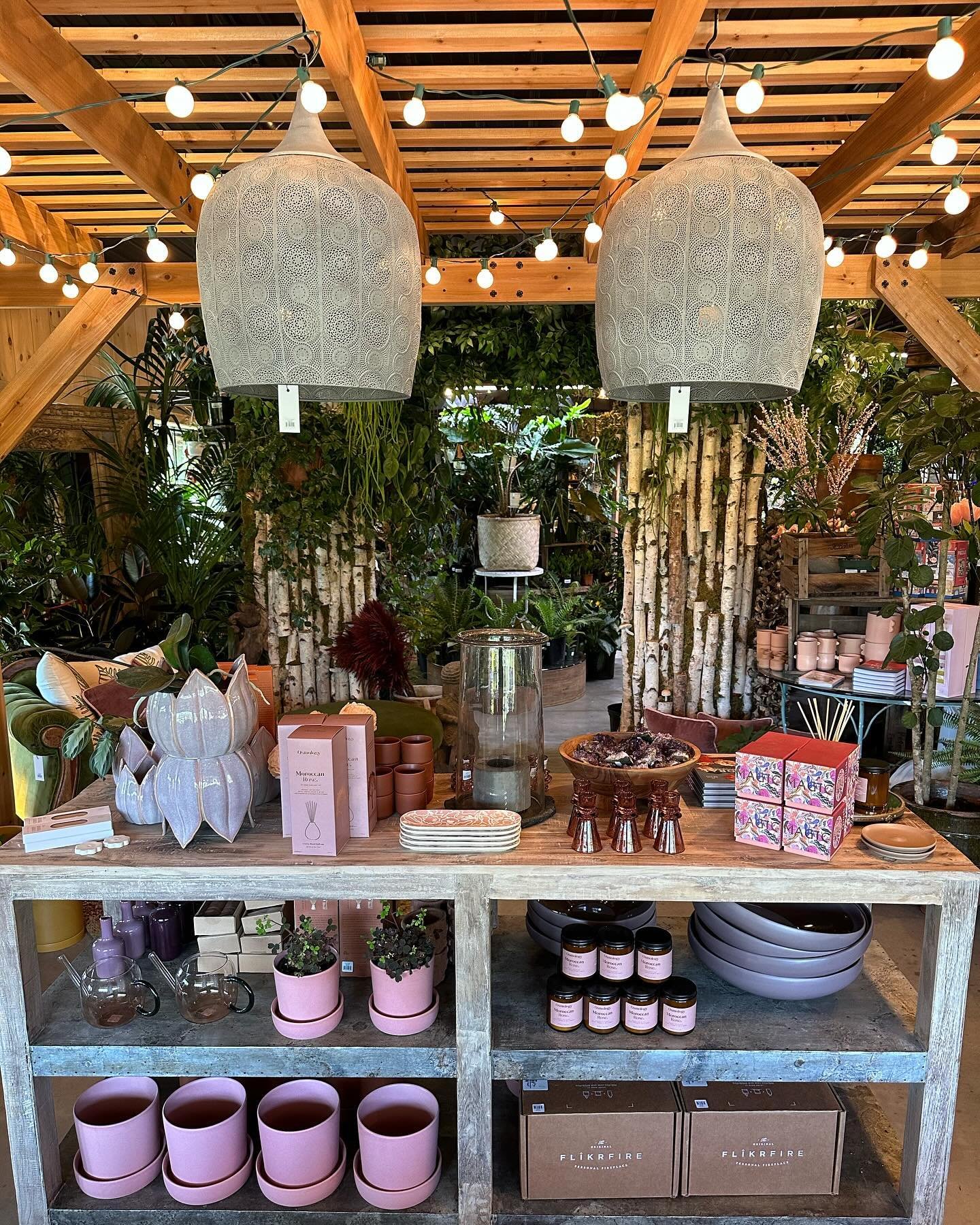 The shop and garden center are full of gorgeous indoor and outdoor plants, pots, homewares, and other treasures. 🚗 Visit our tranquil design oasis in the middle of gorgeous rural New Jersey. 

🌮 Come hungry on Saturday 4/27 as local favorites El Mo