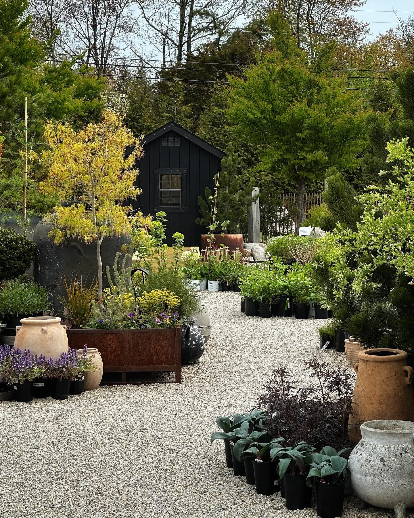 Sunday is the perfect day for a gorgeous drive with the windows down. Come on out to our garden center and retail shop, enjoy a signature cocktail or a seasonal coffee drink, and enjoy a gorgeous day surrounded by happy people and beautiful things. 
