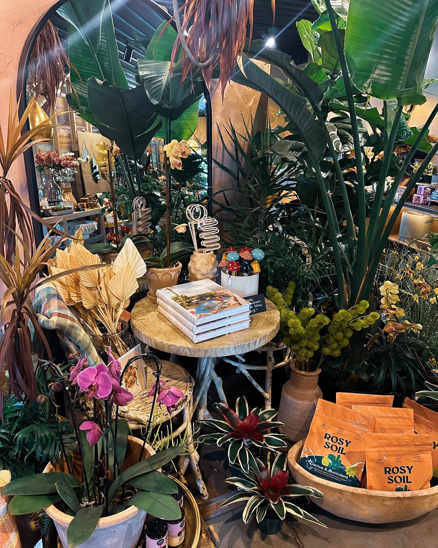 Our shop and garden center are open five days a week. Stop by for gorgeous summer plants and homewares ☀️ 

🏷️ CURRENT SALES:
60-70% Off Select Furniture Pieces
60%-80% Off Select Outdoor Pots
30% Off All Pillows
50% Off Select Rugs
50% Off Remainin