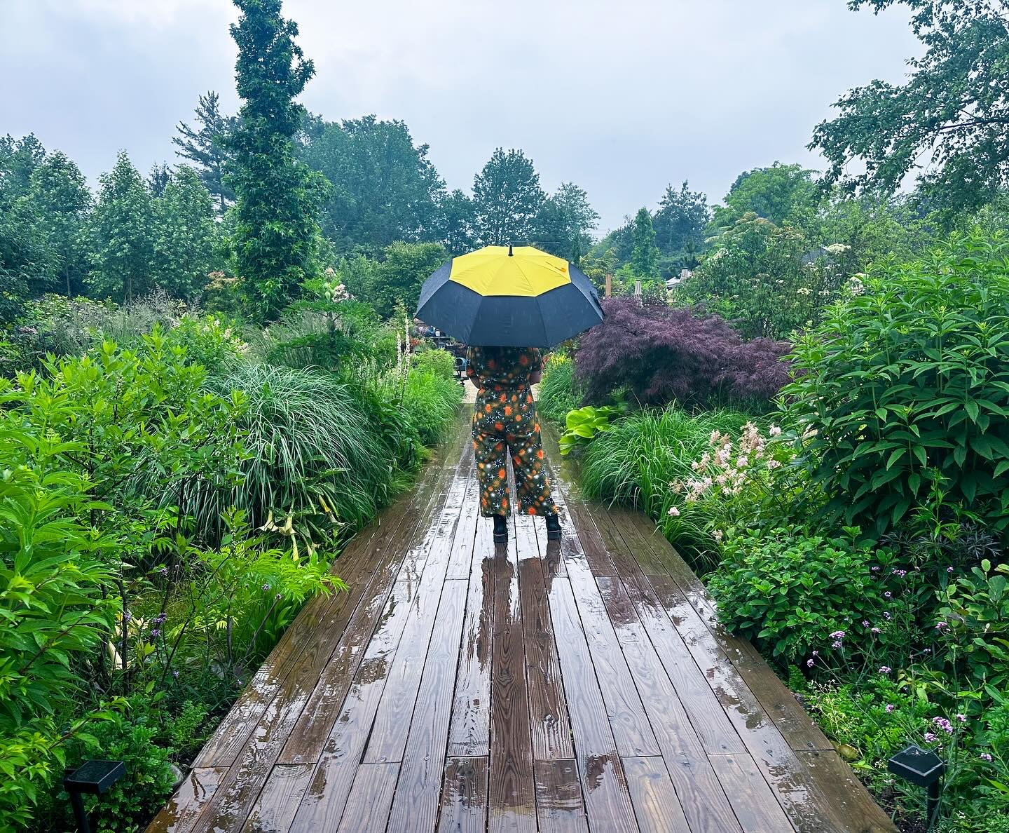 The prettiest place to watch the rain is under our porch ☔️ Borrow an umbrella to wander the garden, or grab a coffee or a cocktail and enjoy the string lights. 

SATURDAY 6/14
Shop open 10am-7pm
Bar open 12pm-6:30pm
🍝 La Tradizione Homemade Pasta T