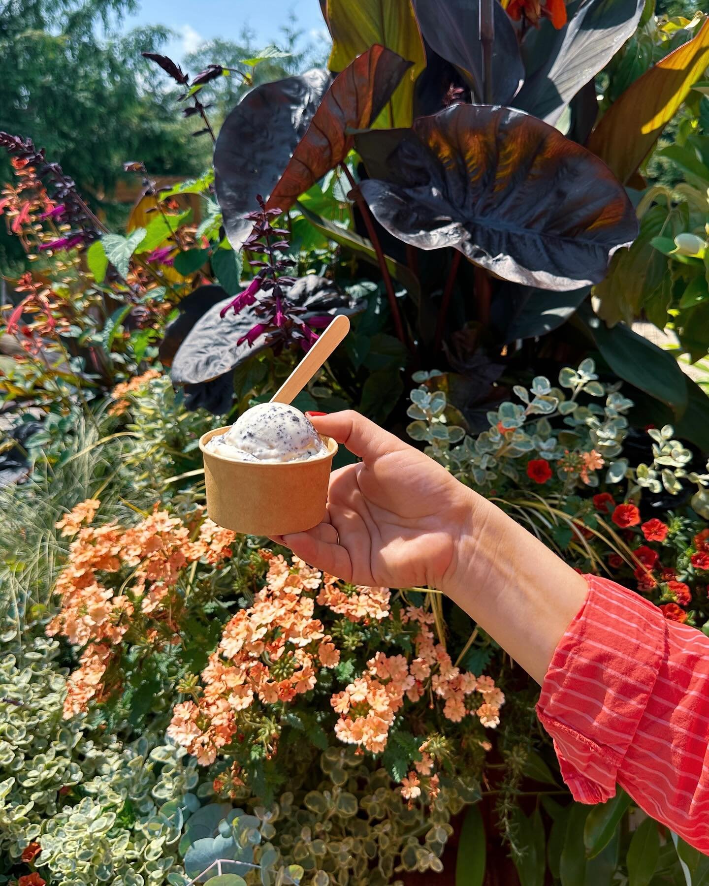 We&rsquo;re thrilled to offer delicious handcrafted ice cream from @thebentspoon in the Black Shed cafe!

This beloved culinary staple from Princeton NJ sent us some of their finest summer flavors to serve our guests here in Stockton. 🍨 Which flavor