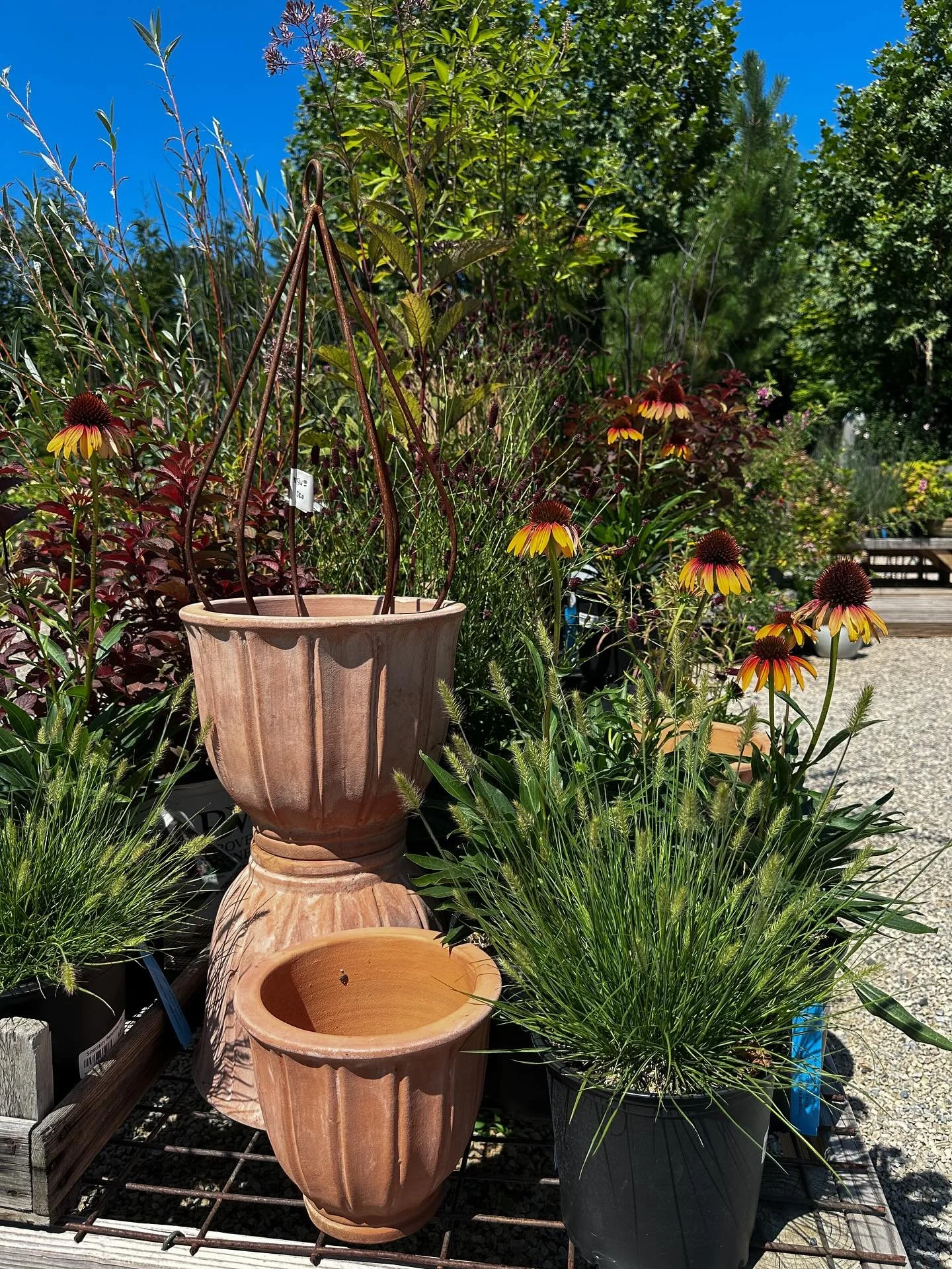 We&rsquo;re here to help you make the most of this beautiful weekend! Don&rsquo;t miss our Porch Sale (new items added!) and look for some new late-summer  plants in stock in the Garden Center. Annuals are still 75% off!

FRIDAY 8/8
Shop open 10am-7p