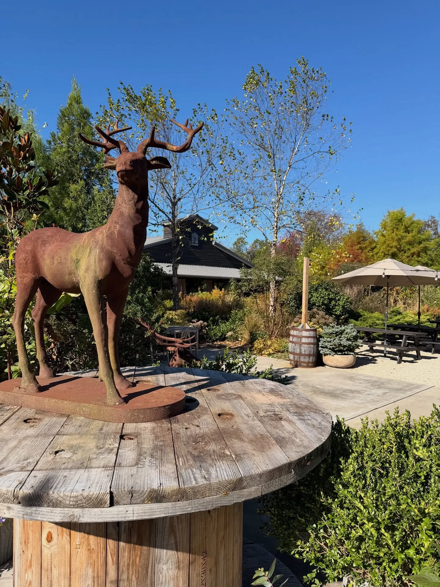 Reminder: Black Shed is closed now thru November 6th. We will be reopening the evening of November 7 with a ticketed event. Our Holiday Open House begins November 8th &amp; 9th. Regular schedule and hours follow the opening.

#blackshed #blkshd #nj #