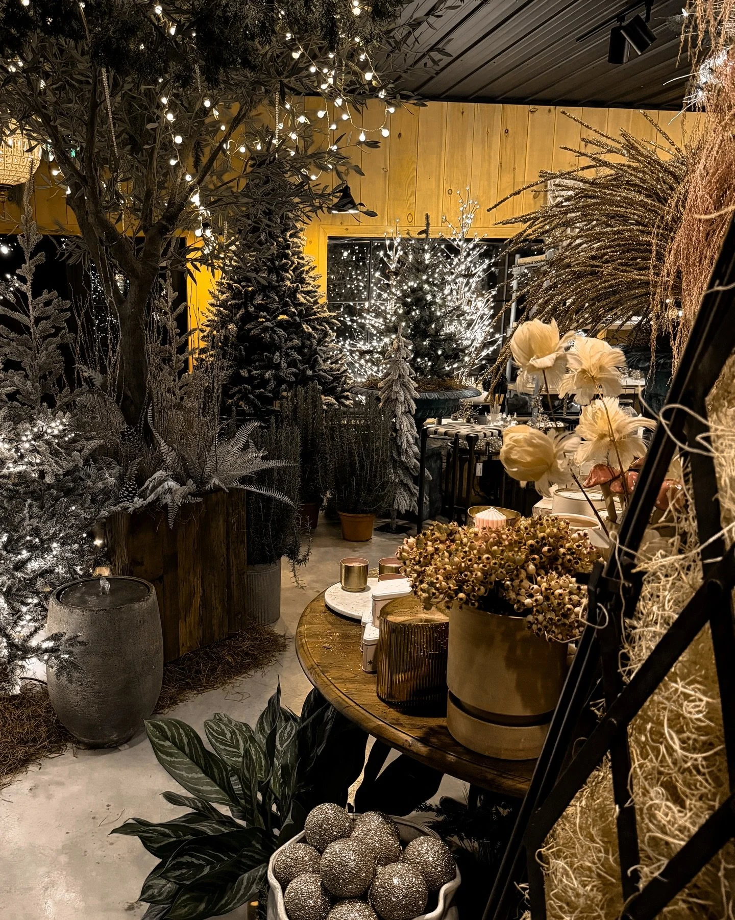 🎄✨ Still need to get started on your Christmas shopping list? Don&rsquo;t worry &mdash; Black Shed has you covered!

From thoughtful gifts to festive must-haves, we&rsquo;ve stocked the shelves with everything you need to make this holiday season ex