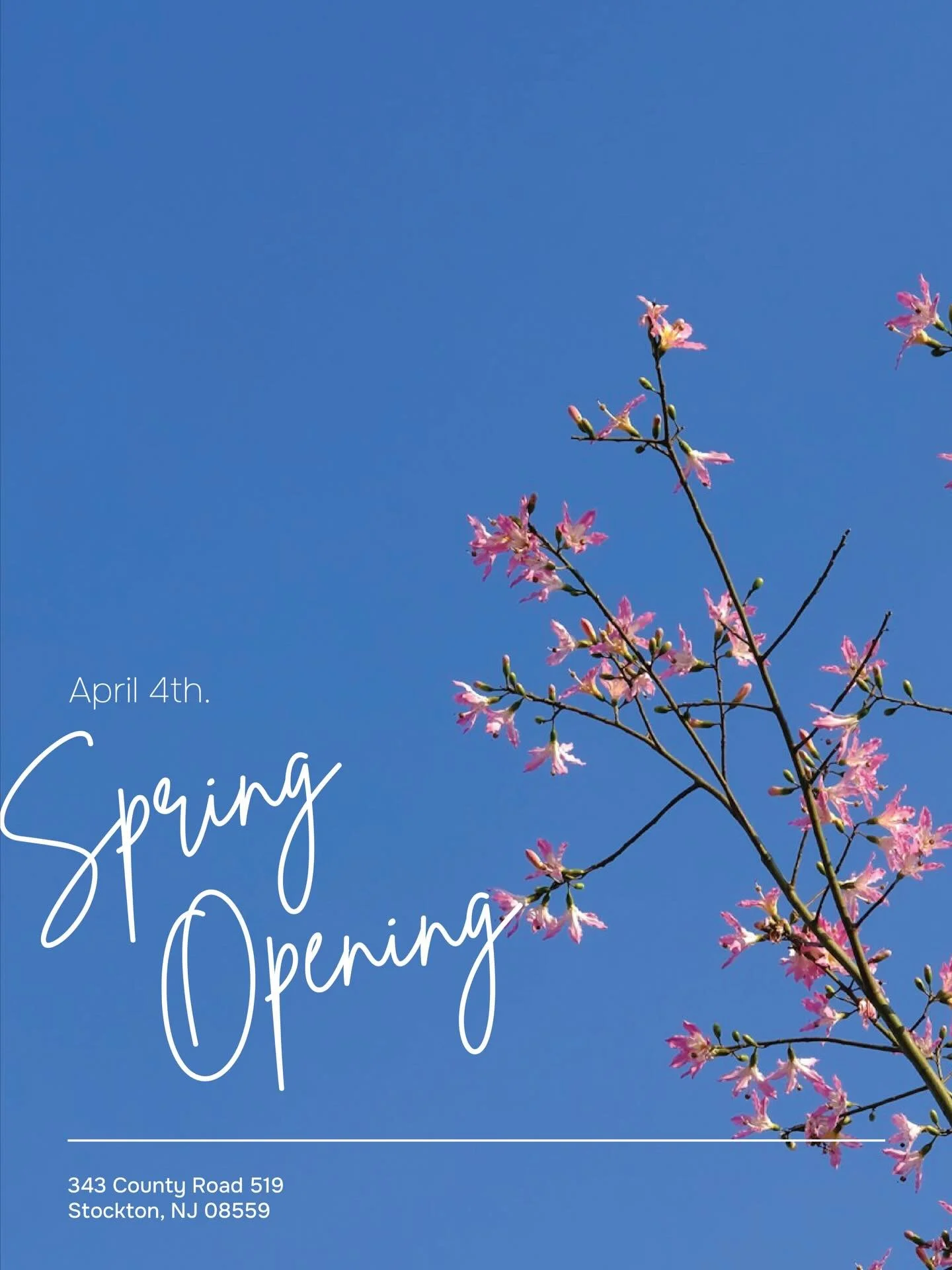 Did you notice the bloom on the trees? Are you as excited as us for the Spring Season? 

We are reopening April 4th. Come have a drink with us and cheers to a brand new season! 

#blkshd #blackshed #spring #hunterdoncounty #stockton