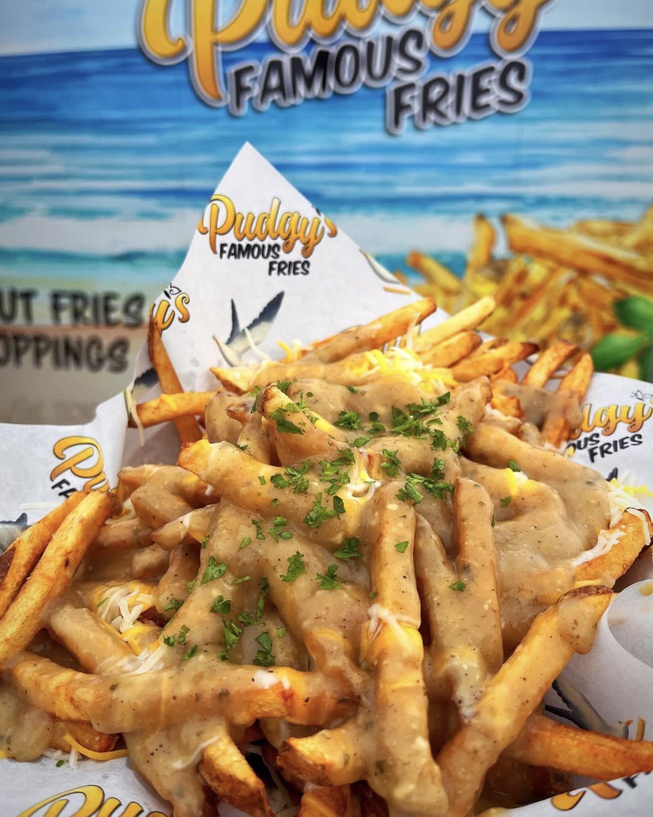 Pudgy’s Famous Fries