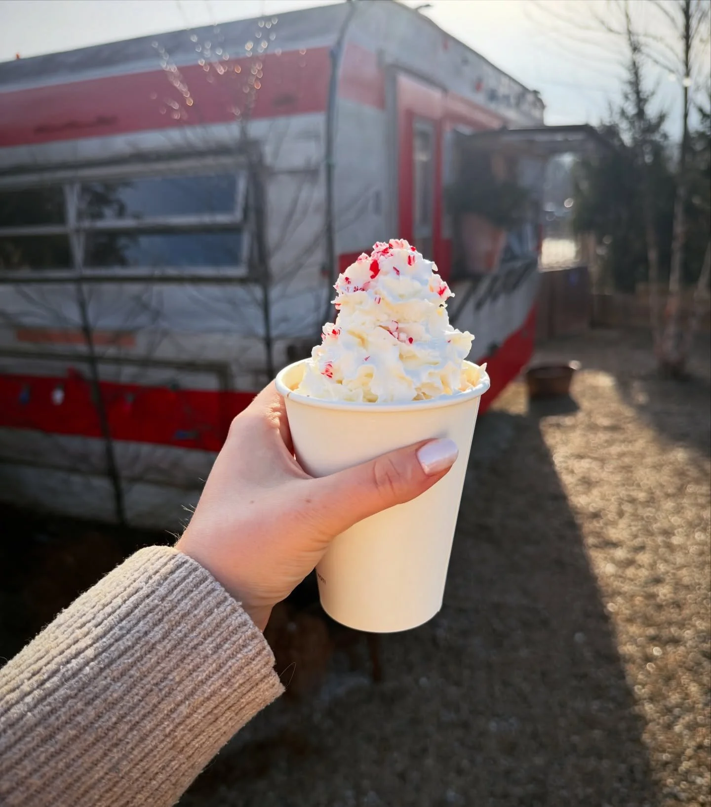 Did someone say hot cocoa?! 

Come take advantage of our amazing sales for this week, and grab some cocoa from our vintage hot chocolate trailer! Or, stop by the bar for a festive cocktail! (Pssst- half price beer and wine at the bar today! 🍺🍷)

Su