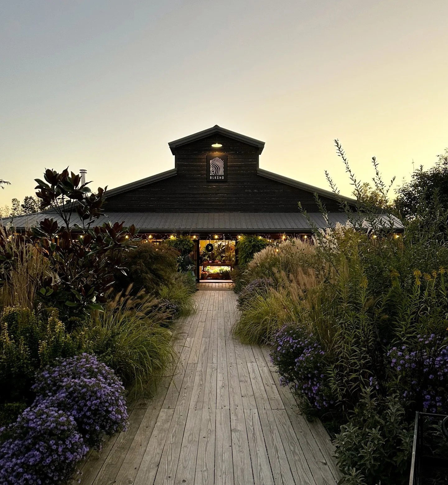 HAPPY NEW YEAR! 

As we welcome the new year, we&rsquo;re sending our warmest wishes to our Black Shed community 🤍

May this year bring you peace, joy, good health, and beautiful moments both big and small. Thank you for supporting our little shop a