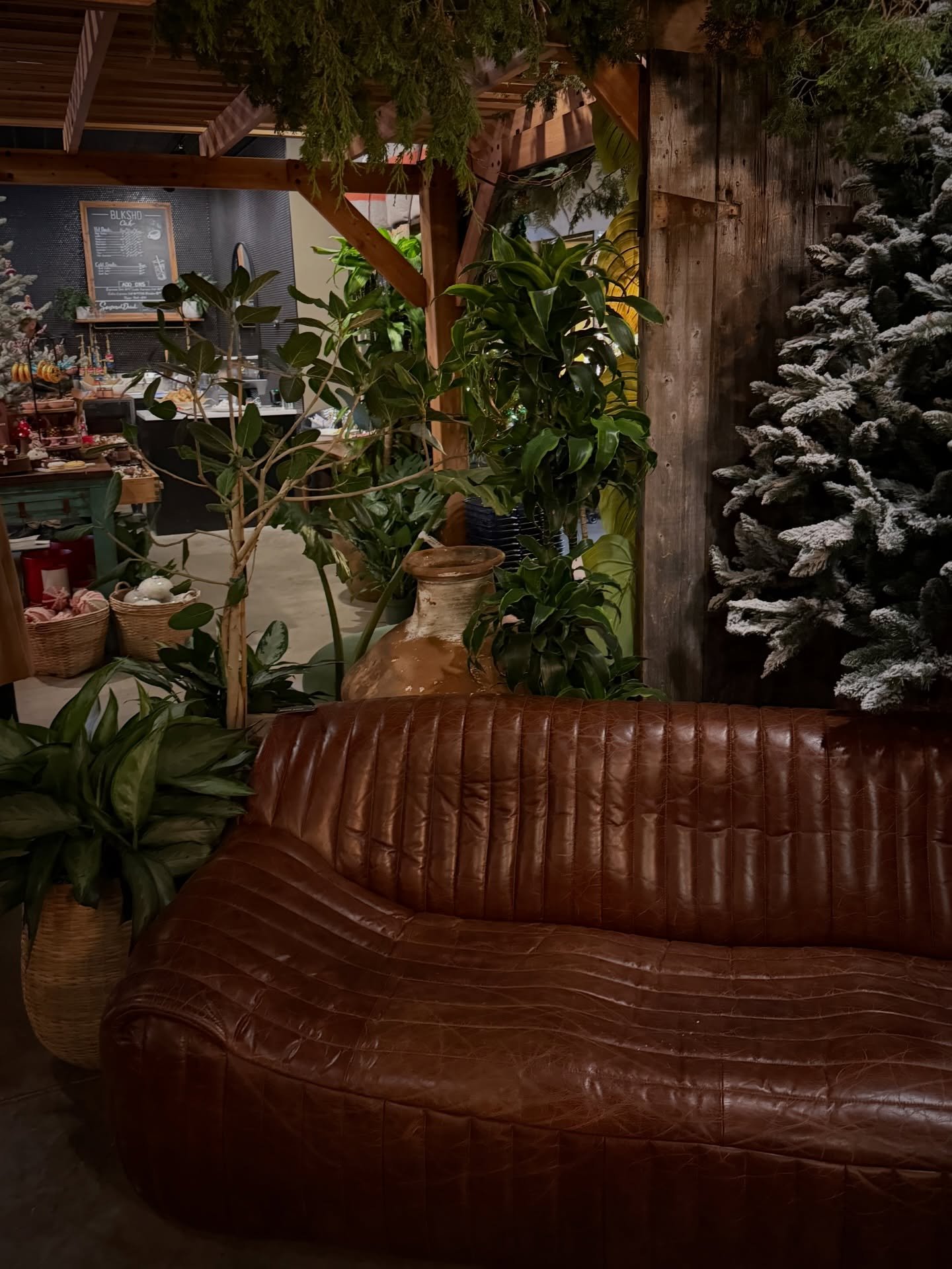 As the holiday season begins to wind down, there&rsquo;s still time to soak in the magic ✨

We invite you to stroll through our beautiful holiday displays and enjoy the cozy atmosphere one last time. Plus, now is the perfect moment to shop our after-