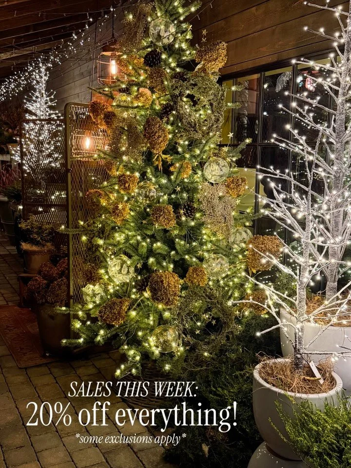 Let&rsquo;s kick off Christmas week the right way! We are open Monday - Wednesday this week and we have some special sales for you! 🖤

Dec 22 - 24 
&bull;Buy 5 items get 50% off Christmas 
&bull;Everything else is 20% off (some exclusions apply)
&bu