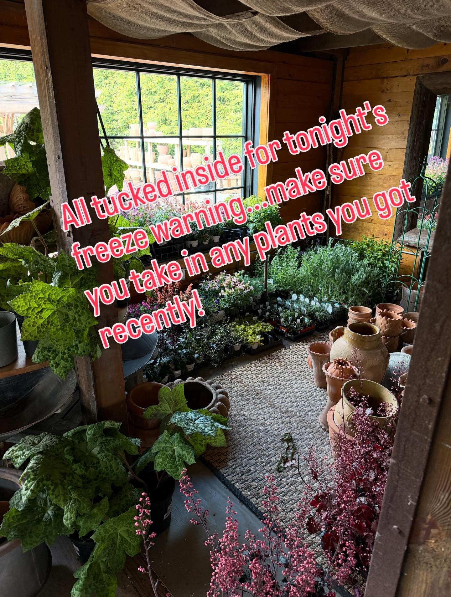 Protect your plant babies tonight! 🌱