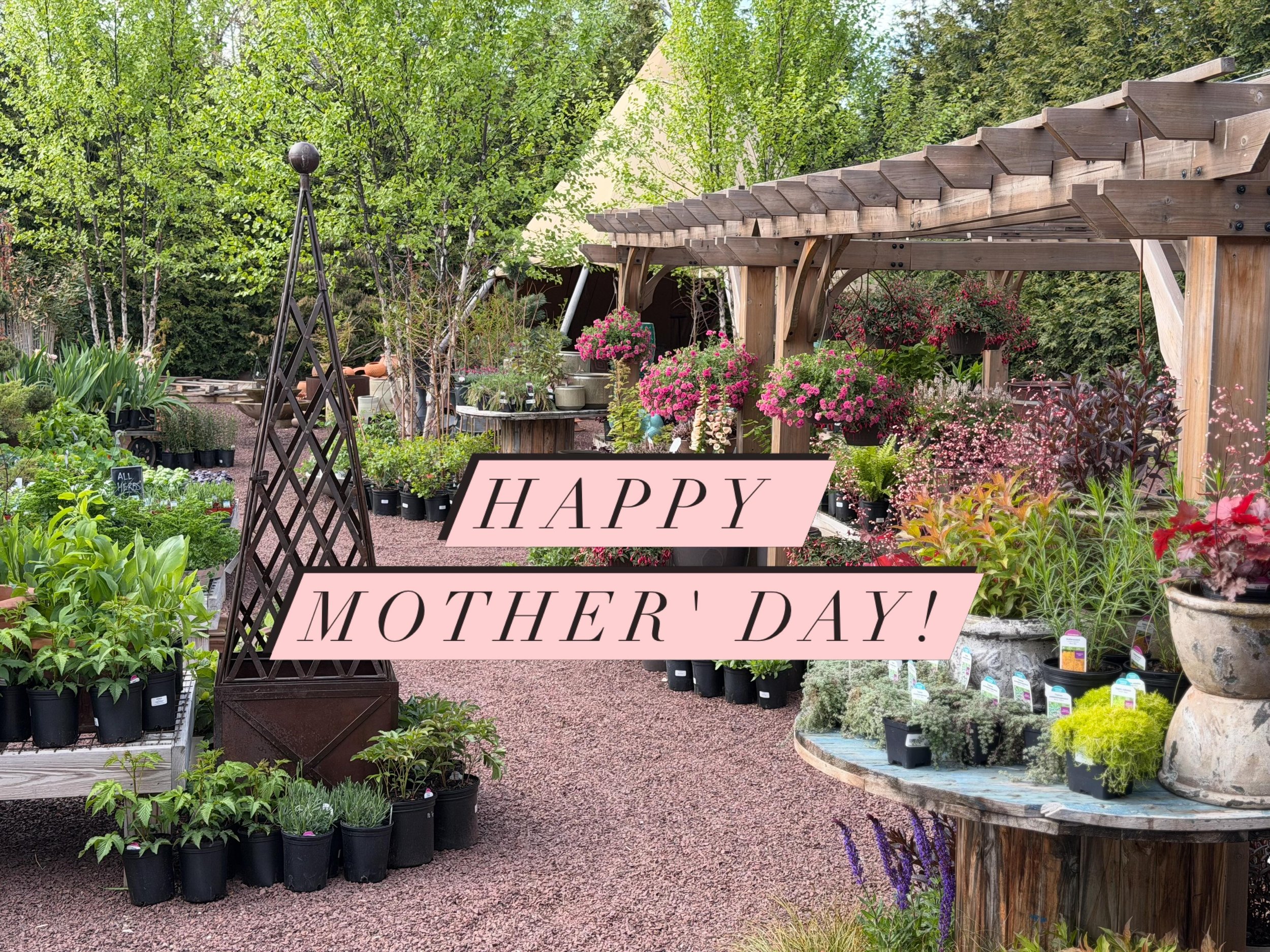 Come celebrate mom today with us here at Black Shed! We have a couple food options for today, Tia B's Street Tacos &amp; Testo Pizza! Both shops are open 10am - 5pm today. See you and mom soon!