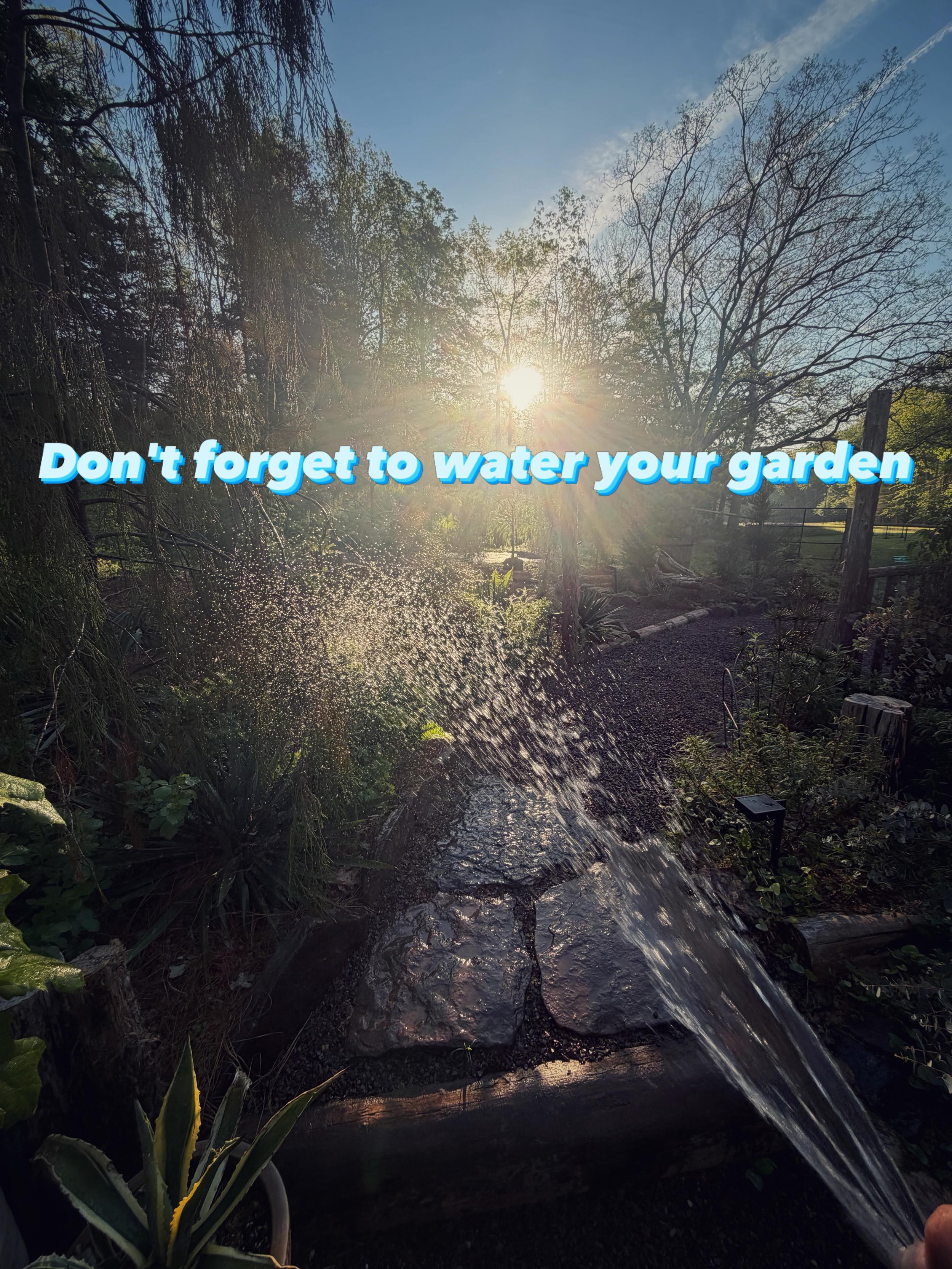 It's hot out! While a cool down is coming, this is big heat for May. Keep all your new, and established plant babies hydrated 💧