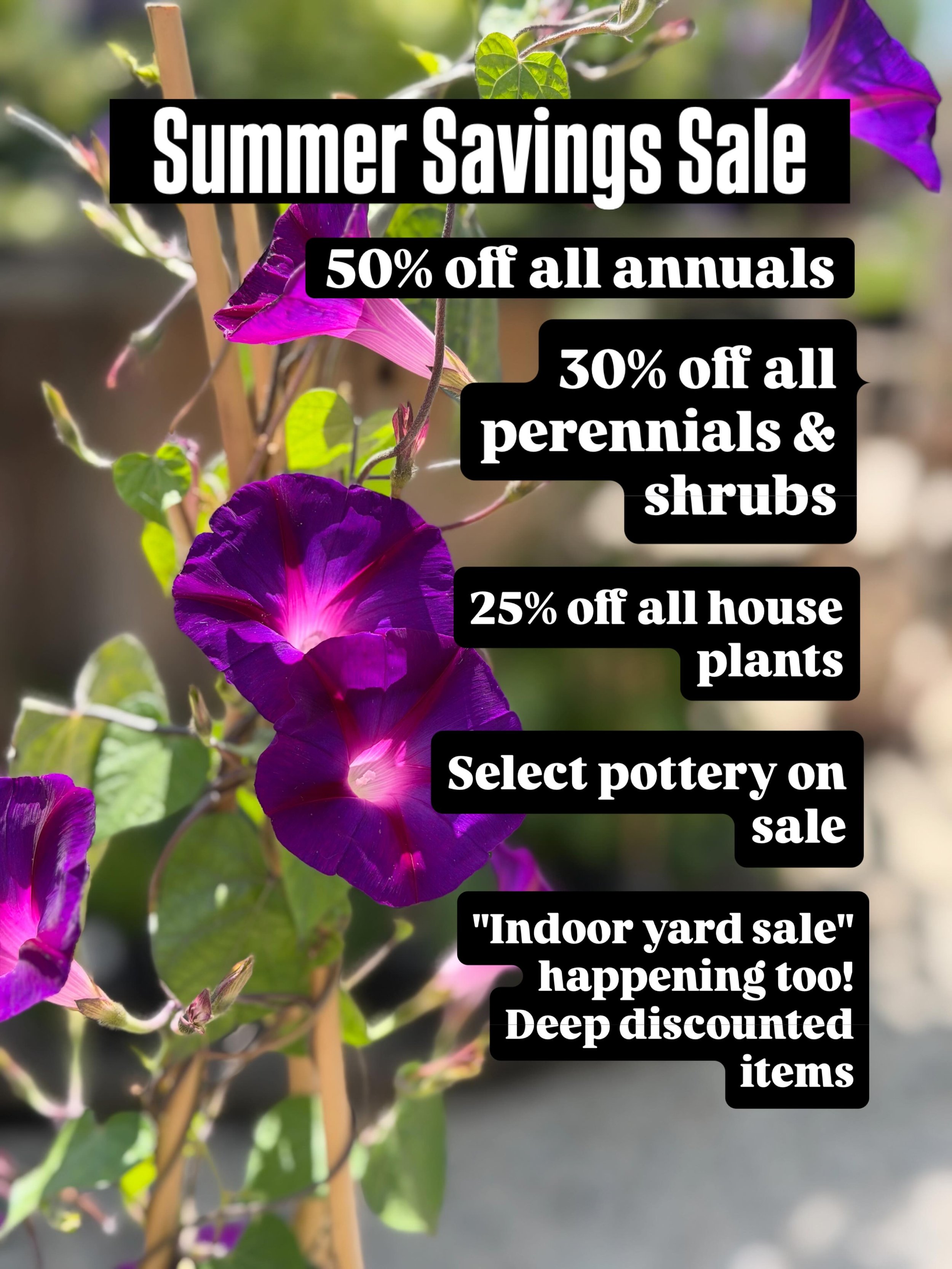 Summer Savings begin today! We did a deep clean of our barn and storage room...you won't want to miss this! Deep discounted items all ready for you to take home, or give as gifts. Also tonight is our first Pizza In The Garden. We are open an extra ho
