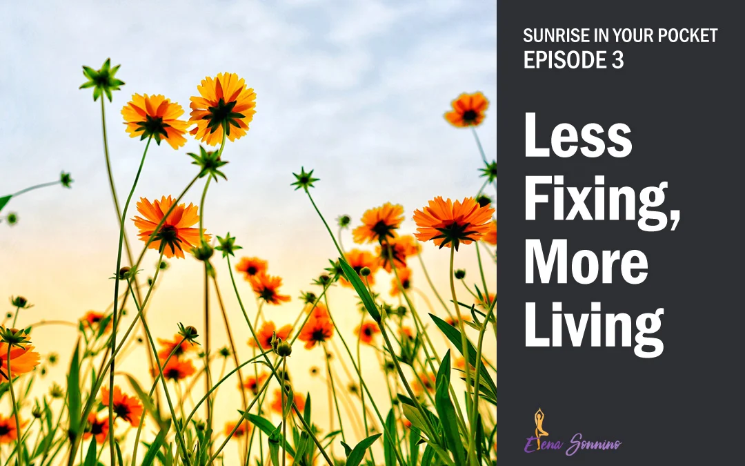 sunrise-in-your-pocket-episode-3-less-fixing-more-living.jpg