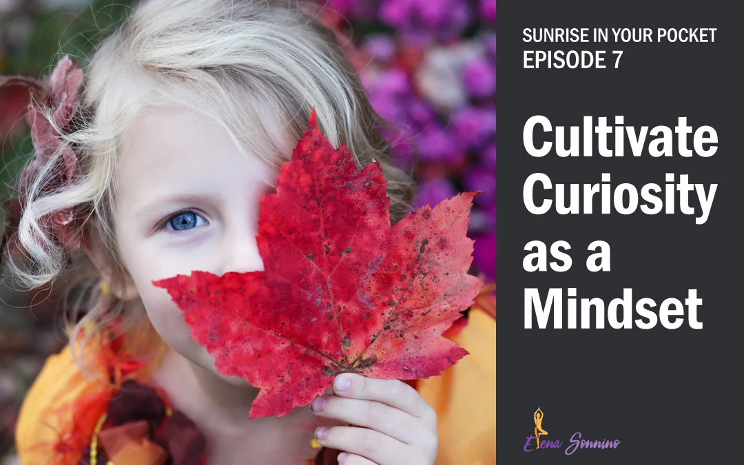 cultivate-curiosity-as-a-mindset-sunrise-in-your-pocket-episode-7.jpg