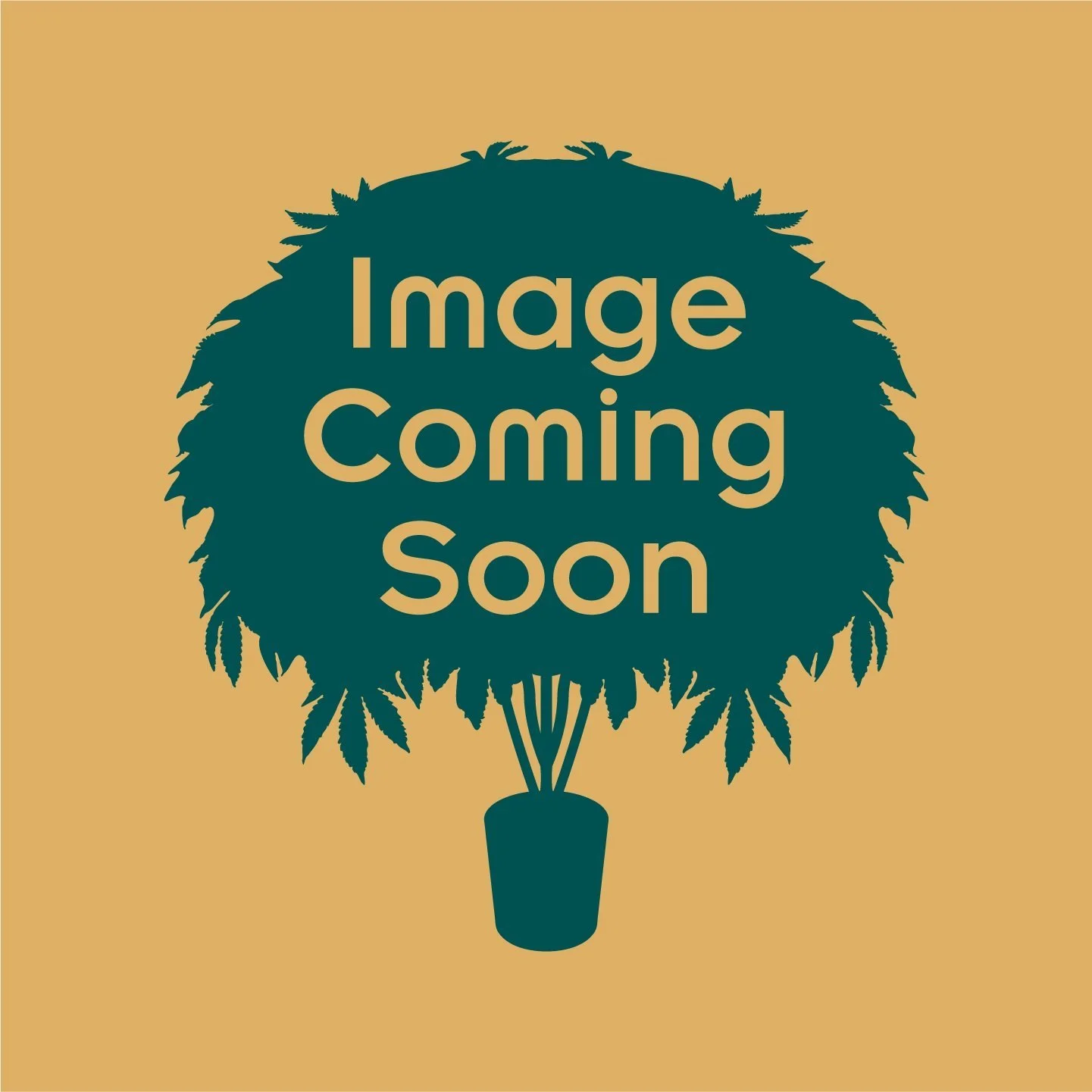 HL_Image-Coming-Soon_Menu.jpg