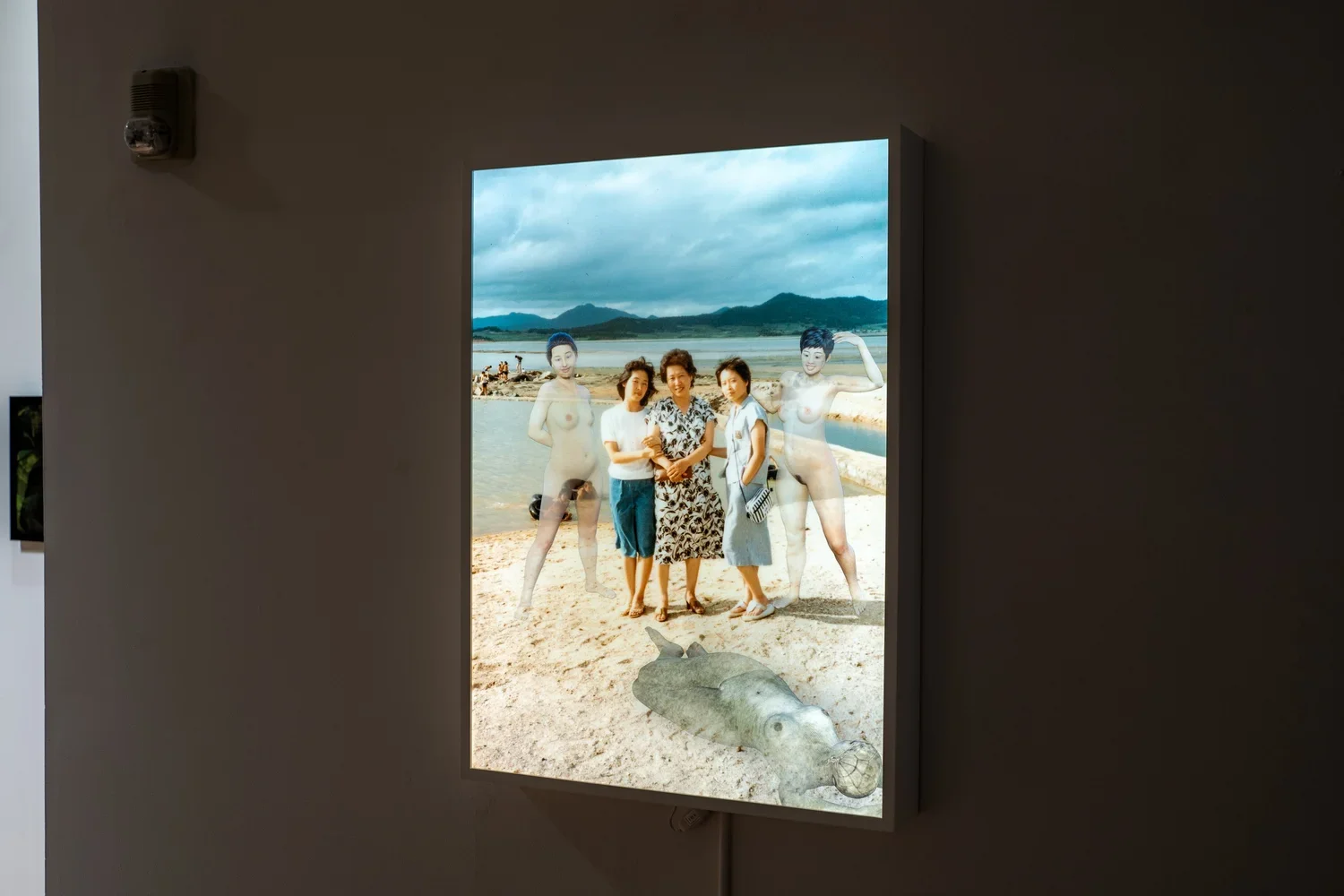 Premolt+4.webp