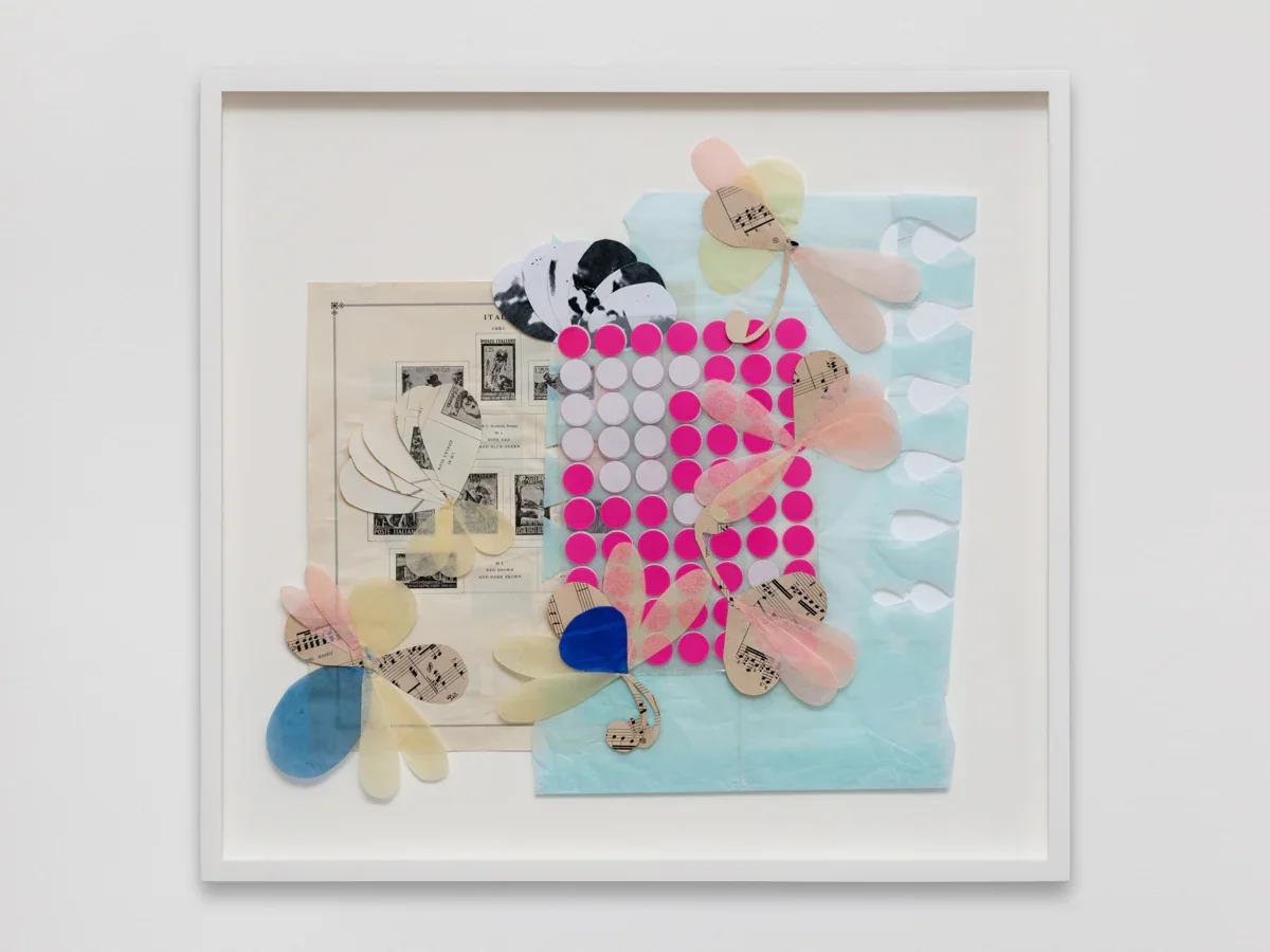 DSCF7871.webp