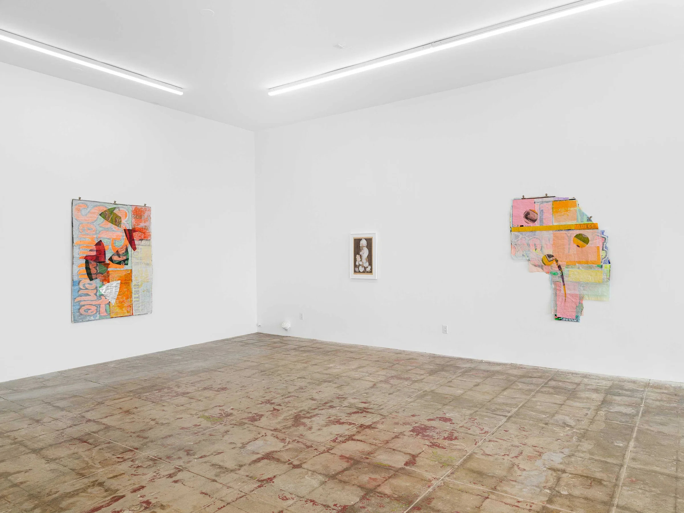 DSCF7846-_1_-Web.webp