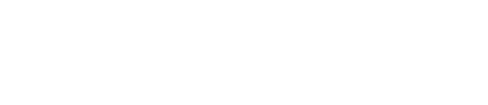 veem.png
