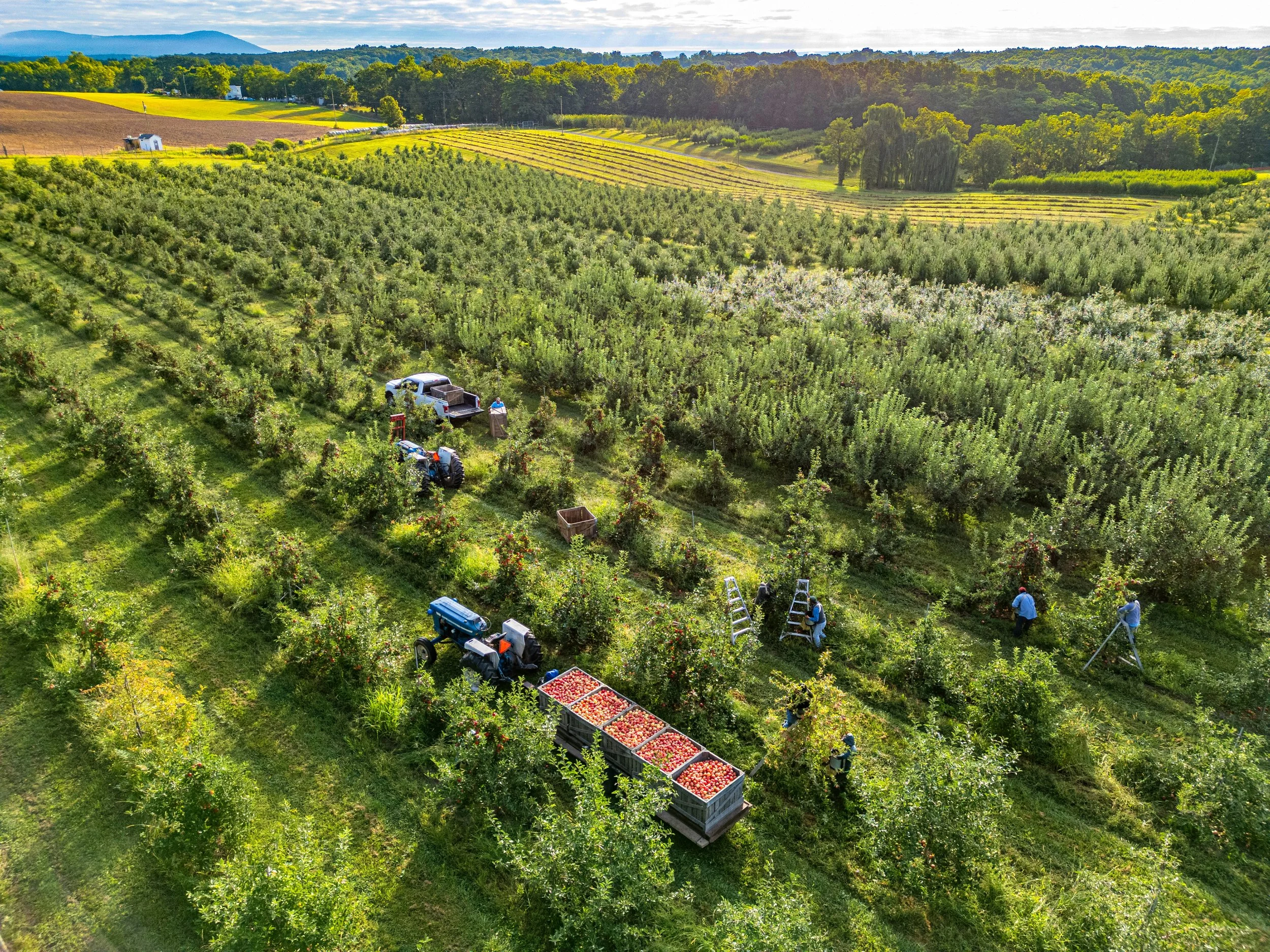 DJI_0441 me out of photo copy.jpg