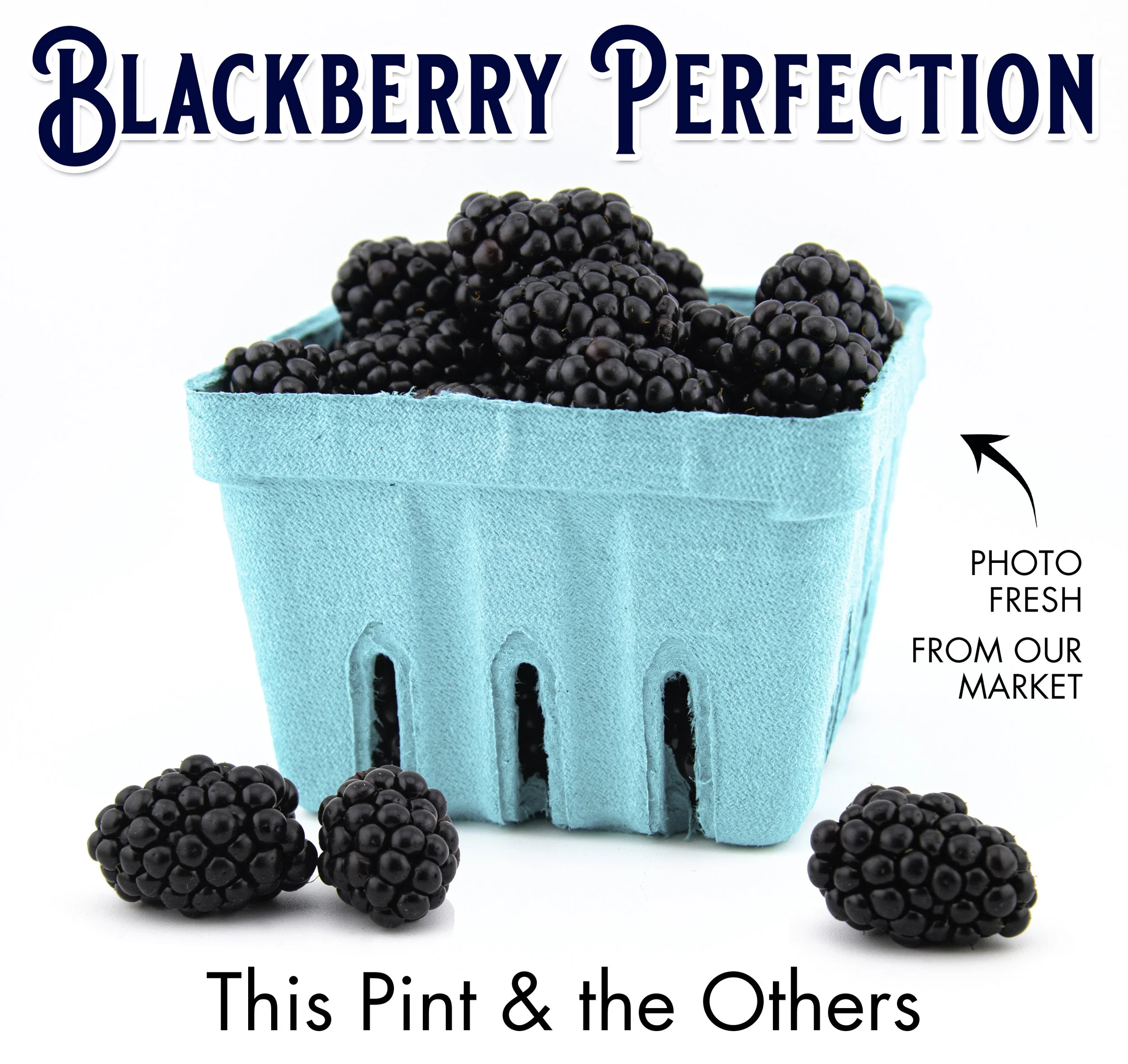 Blackberry Perfection copy.jpg