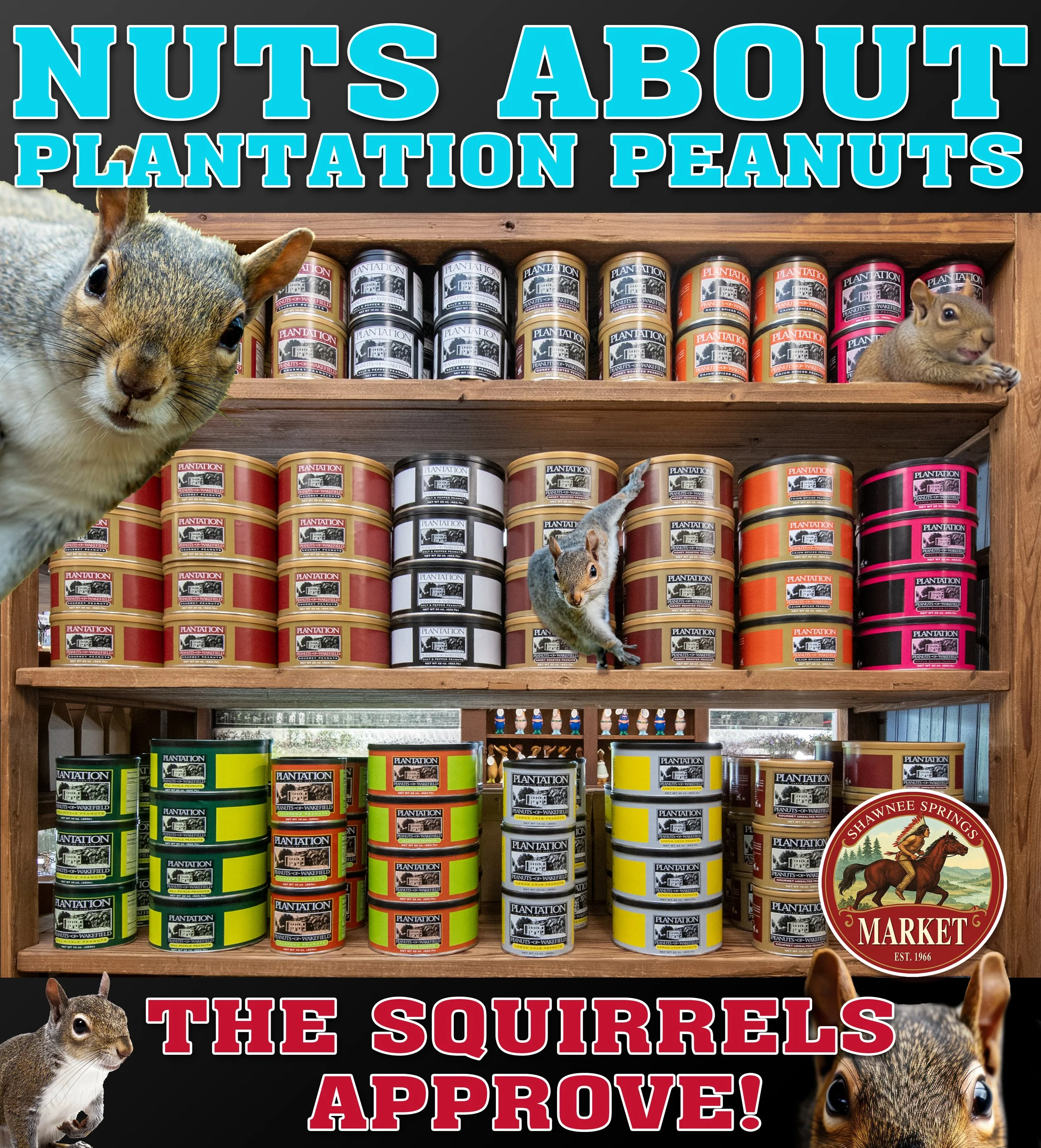Plantation nuts copy.jpg