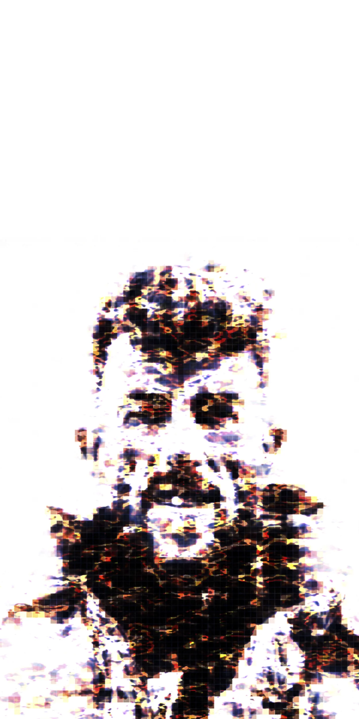 The Ascension of Edmund Hillary at 29,029 ft., 2013 40 x 20 in. Archival pigment print mounted to Dibond Edition of 3 Signed by the artist on label, verso