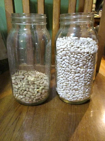 DriedBeans.jpg