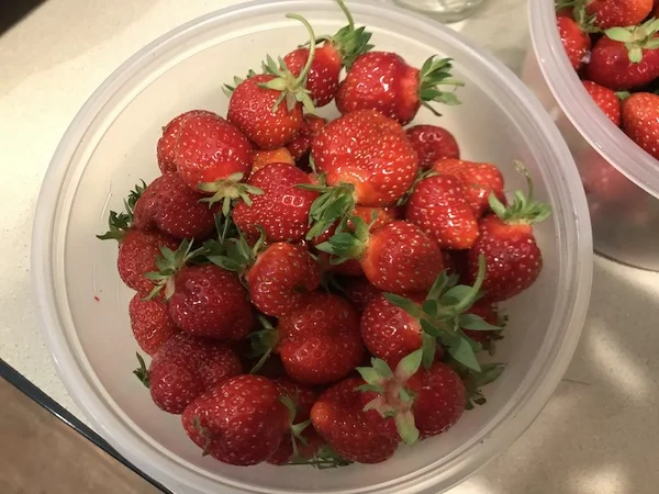 Strawberries2019.jpg