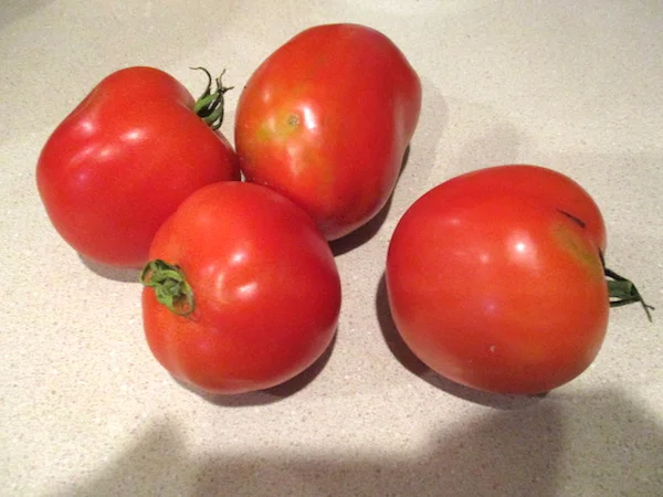 Tomatoes2019.jpg
