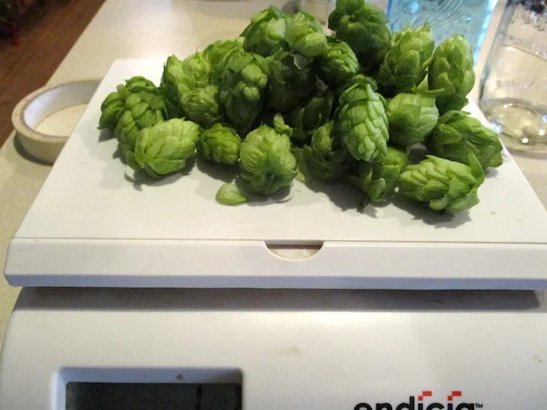 Hops1.jpg