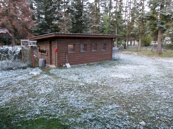 FirstSnow2019.jpg