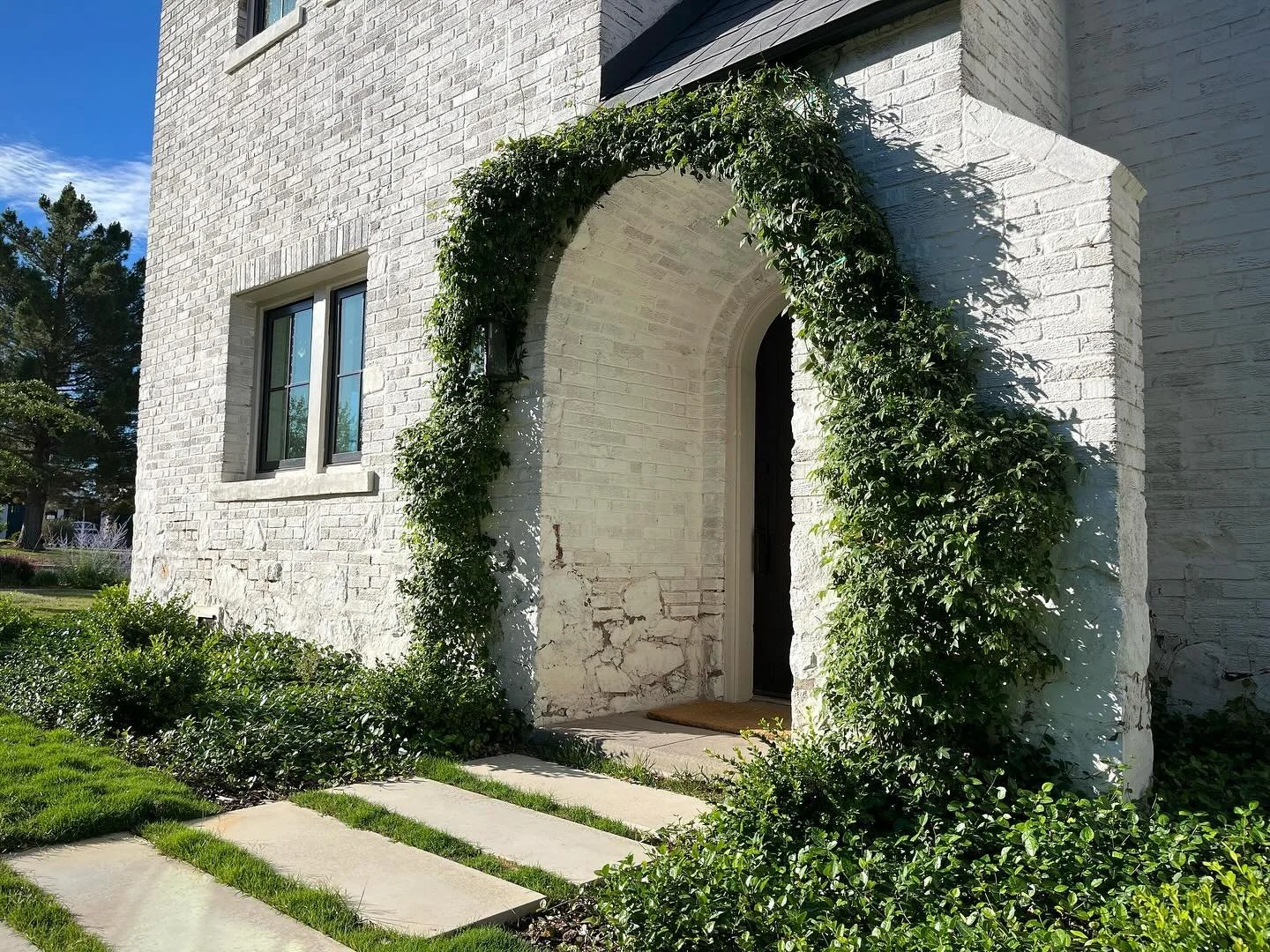 Very excited to announce the vines have reached the top on this Kern house

Killer architecture by Katie MacNelly &amp; Danny MacNelly with @architecturefirm