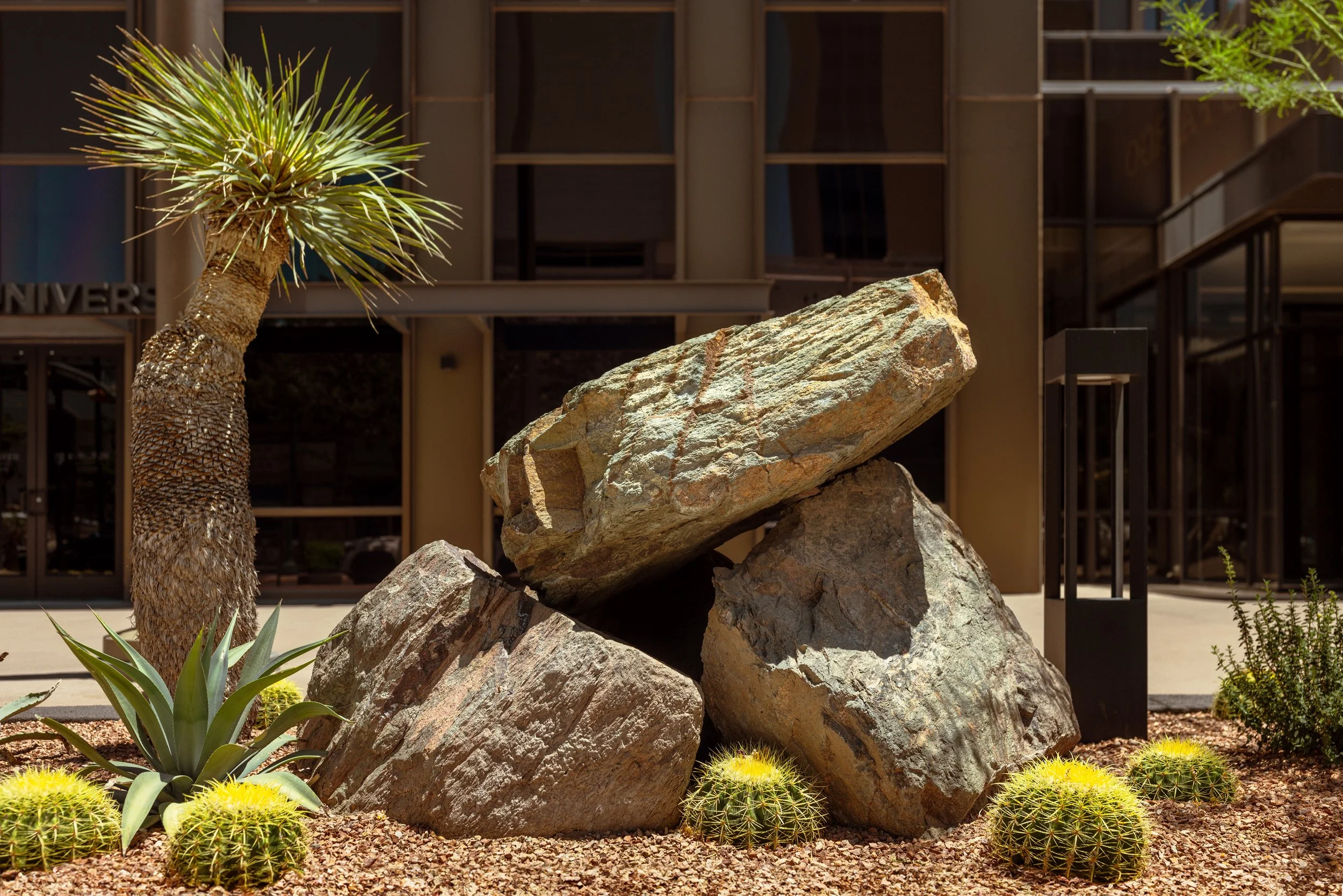 THE DRY LAND - WELLS FARGO - HUMAN RACE-3 (1).jpg