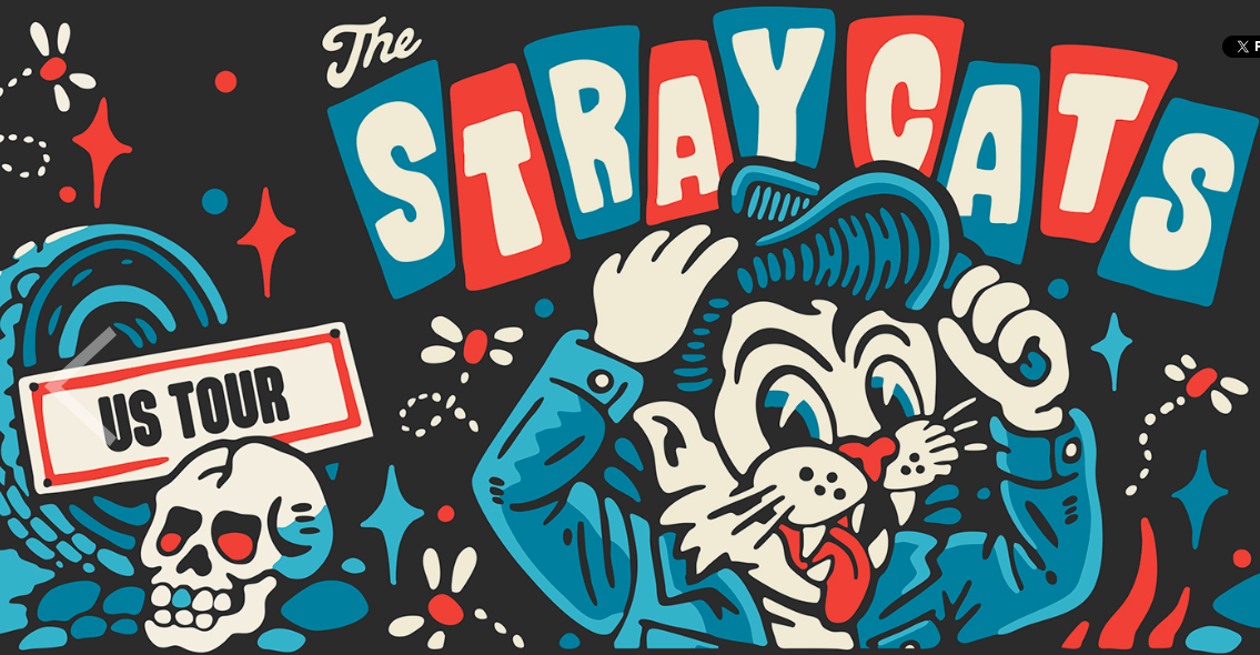 THE STRAY CATS