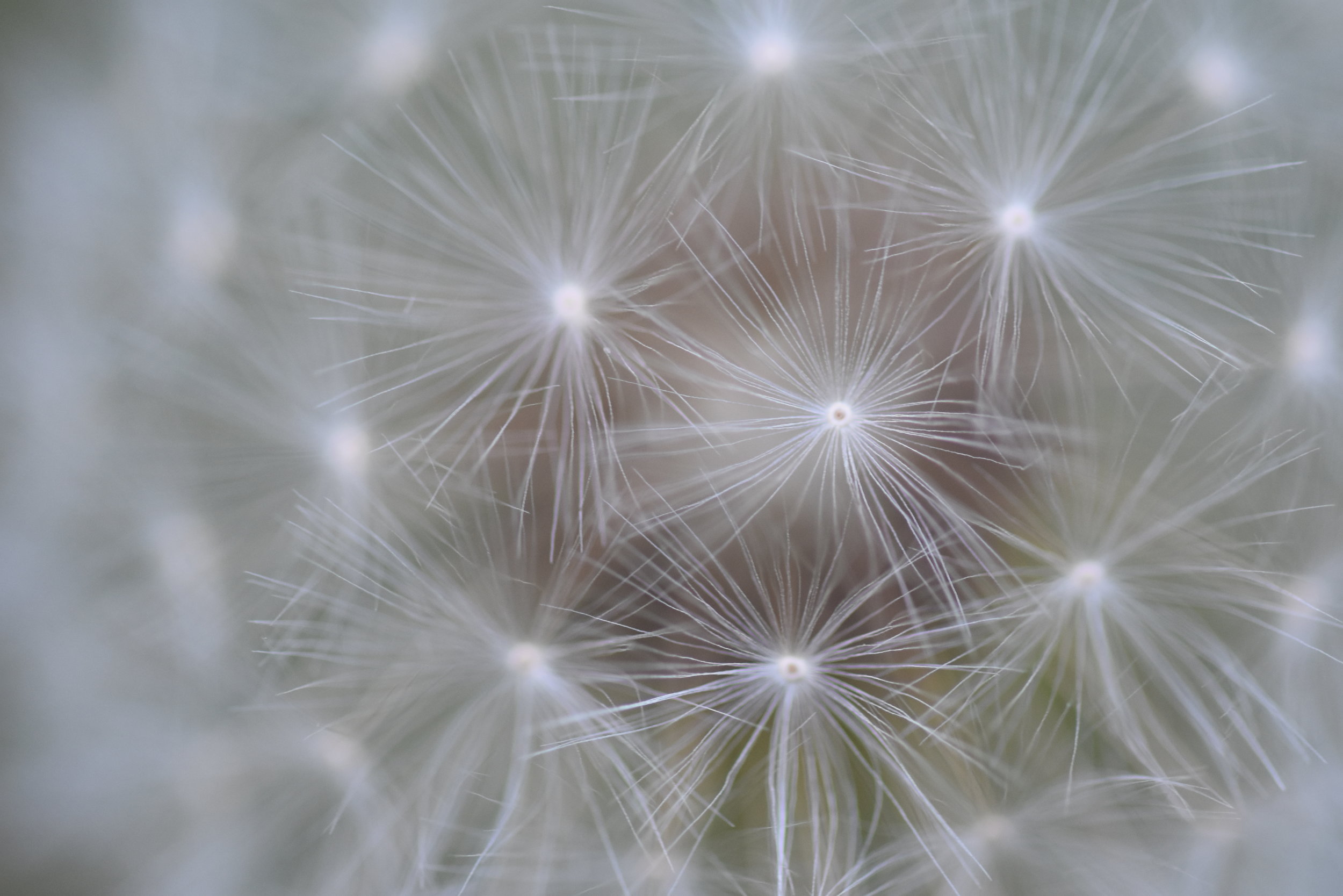 Study Group - Sex Education and the Spirit: Understanding Our Communal Responsibility for the Healthy Development of Gender and Sexuality within Society