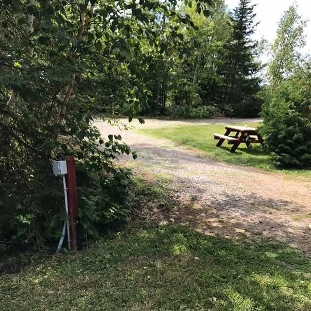 A sneak peek of 4 private beautifully trees trailer sites, and one pull through! All include 30amp hookup, water(tested monthly) and drinkable, septic hookup, fire pit, and access to the lake!🎣🚣&zwj;♀️🌞 #deerlakecottageresort #trailersites #rvlife