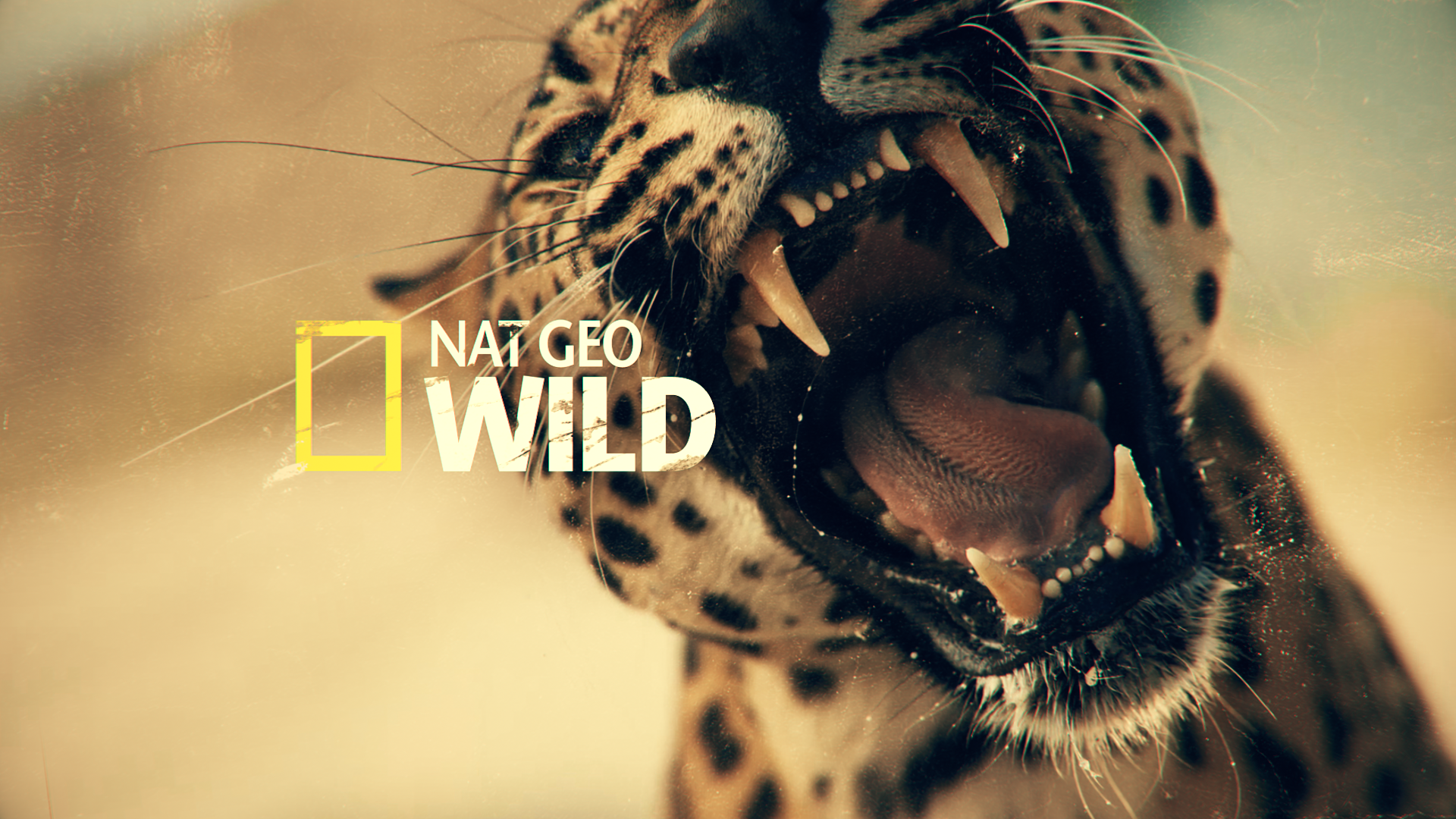 natgeo.png