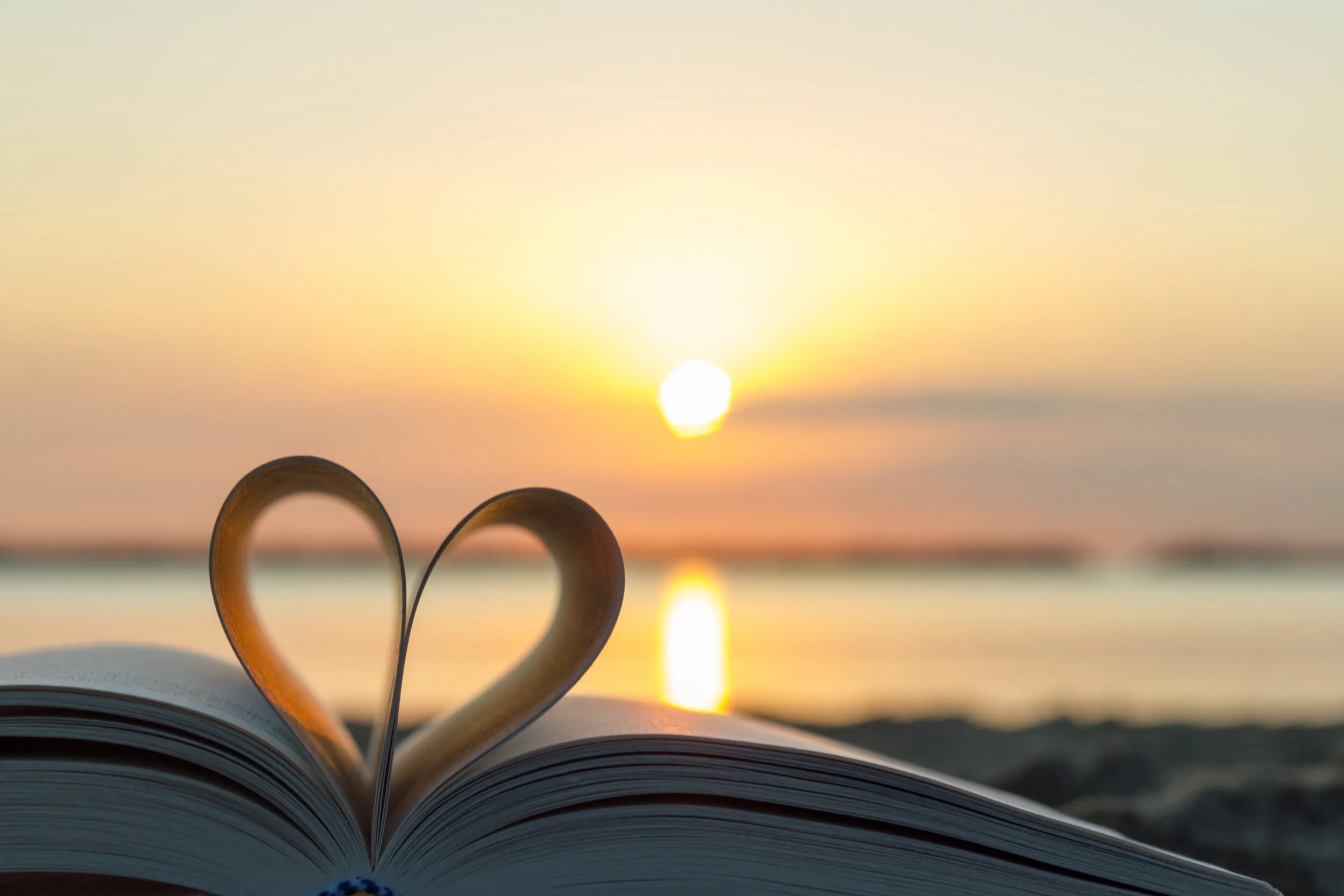 Reflection “Love and kindness are never wasted. They always make a difference.” ~ Barbara De Angelis Prayer God of goodness and love, we know that we are able to love only because you have first loved us. Shaped by your love for