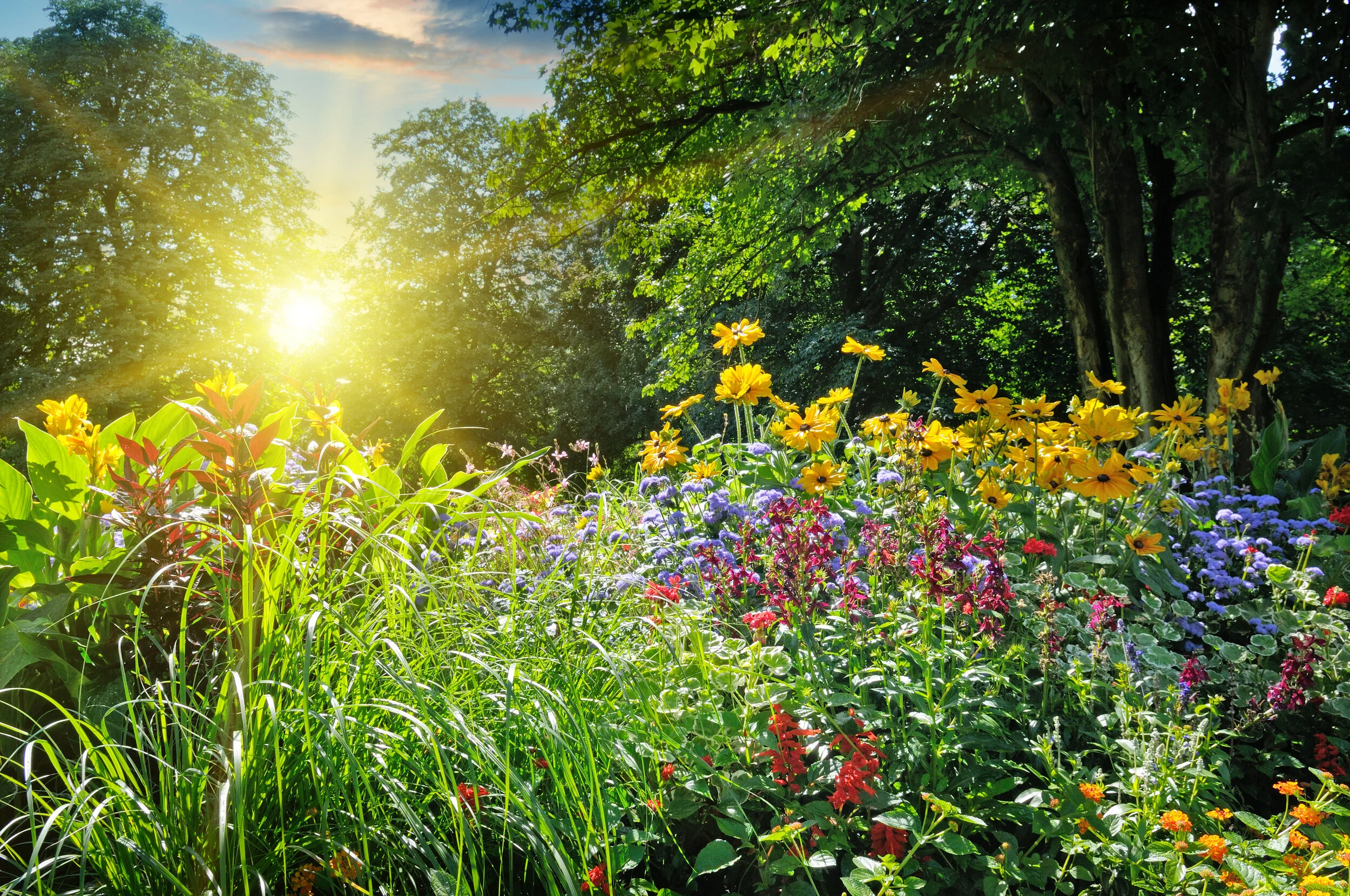 Reflection “Spring is a time to find out where you are…who you are, and move toward where you are going.” ~ Penelope Trunk Prayer God of new life, St. Paul reminds us that we can experience your presence in the beauty of what you